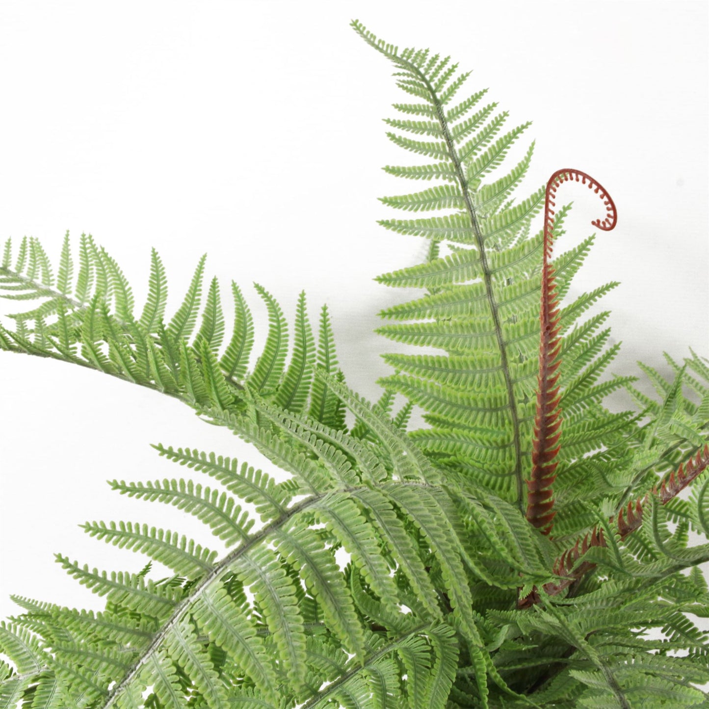 6 x 60cm Medium Artificial Bushy Dixie Wood Fern Plants – Light Green Faux Fern Set