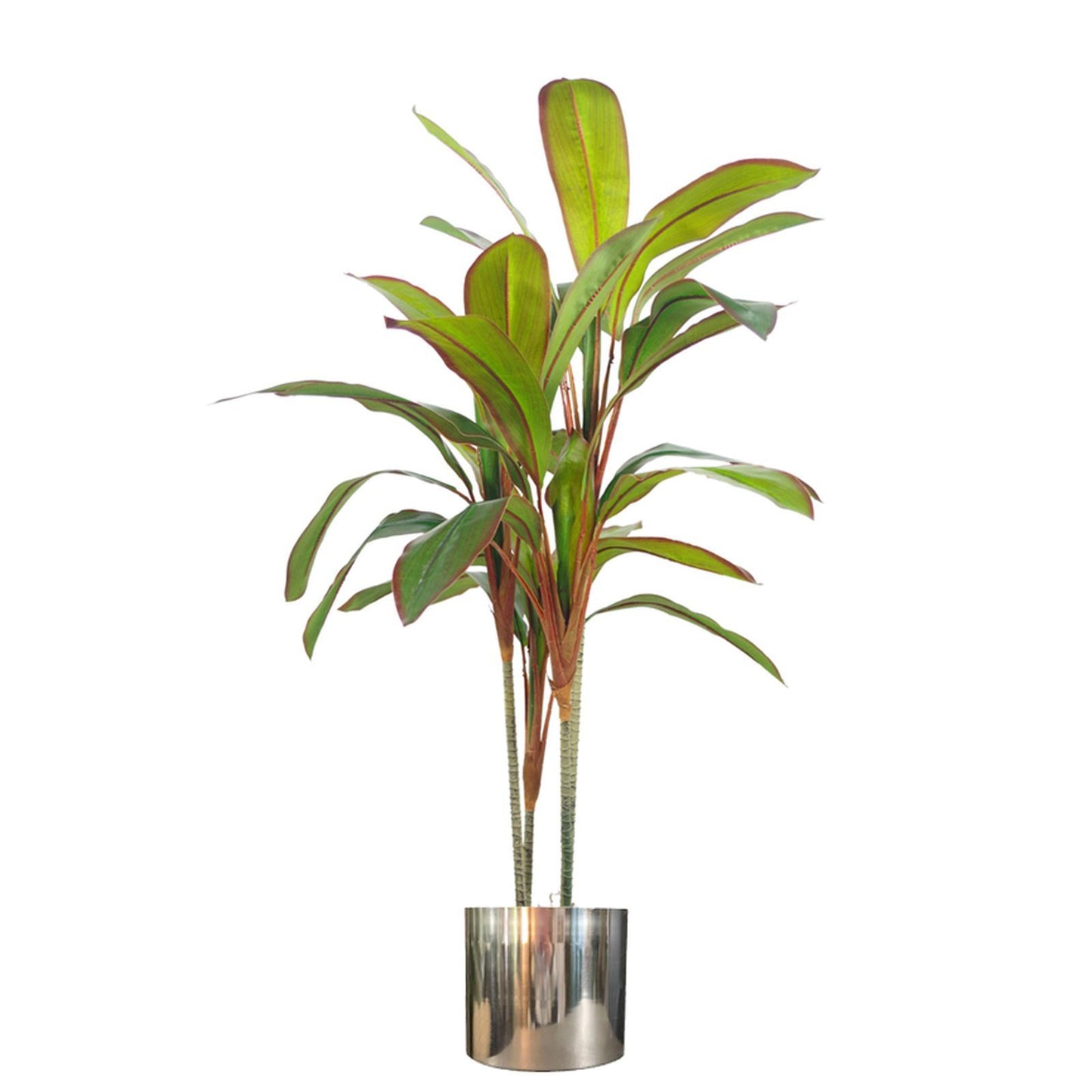 100cm Large Artificial Dracaena Tropical Plant with Silver Planter - Realistic Indoor Plant