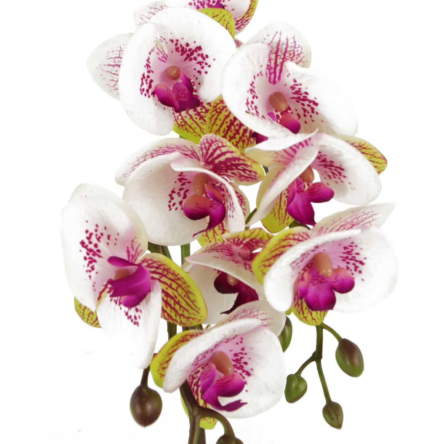 48cm Small Harlequin Pink Artificial Orchid in Gold Pot – Faux Orchid Plant