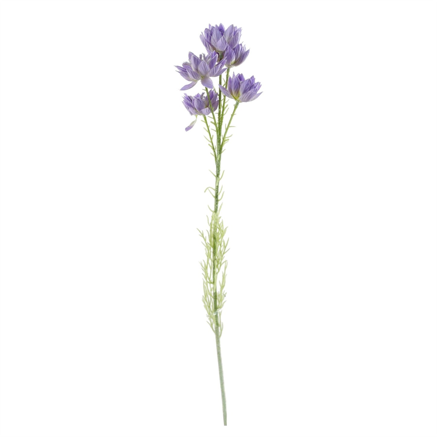 60cm Medium Artificial Purple Starflower Flower Arrangement in Clear Ridged Glass Vase