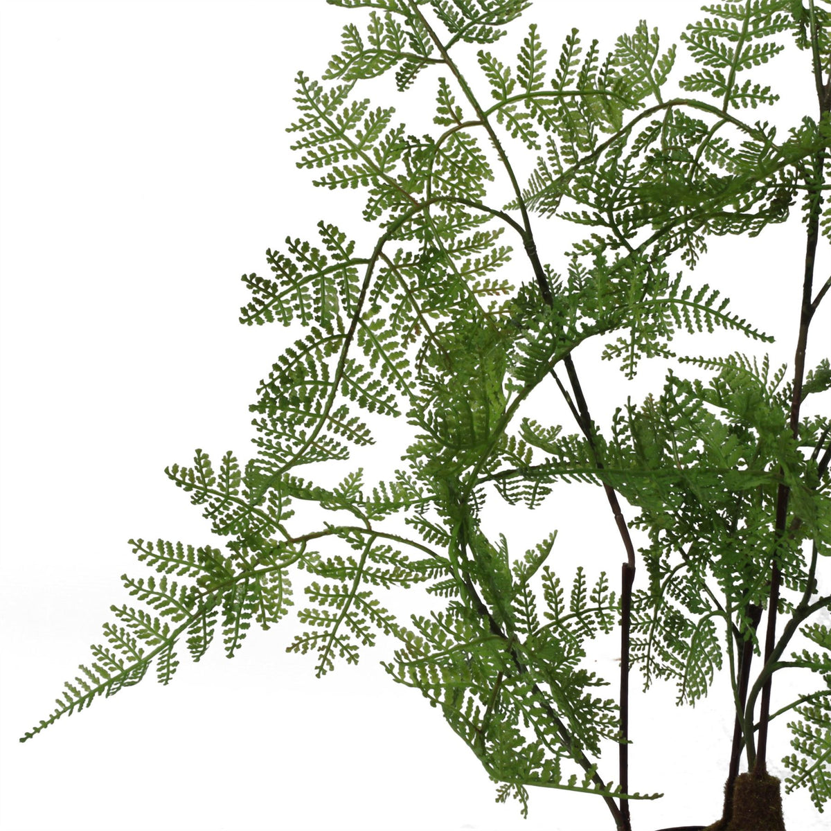 90cm Large Artificial Fern Plant – Realistic Natural Moss Base
