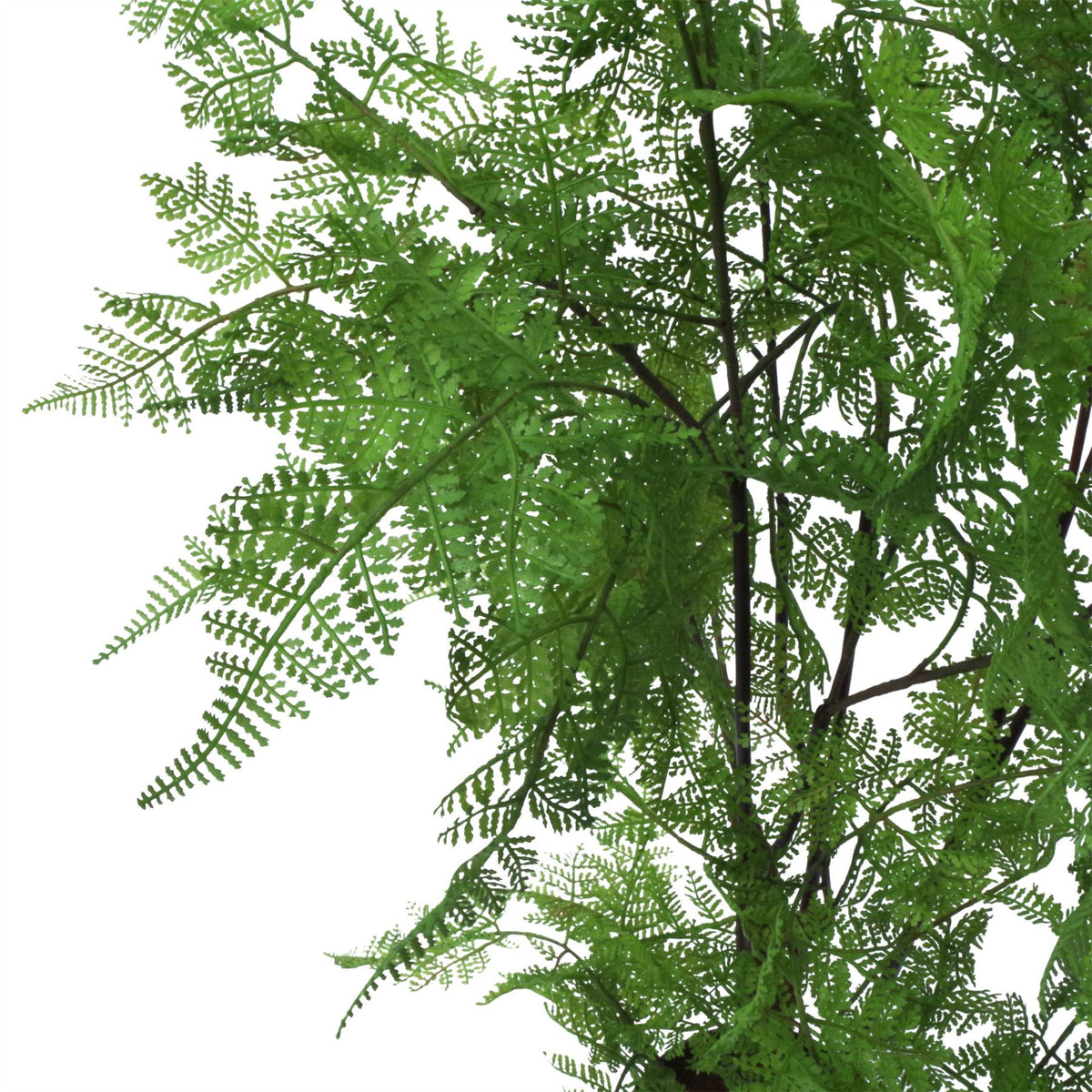 90cm Large Artificial Fern Plant – Realistic Natural Moss Base