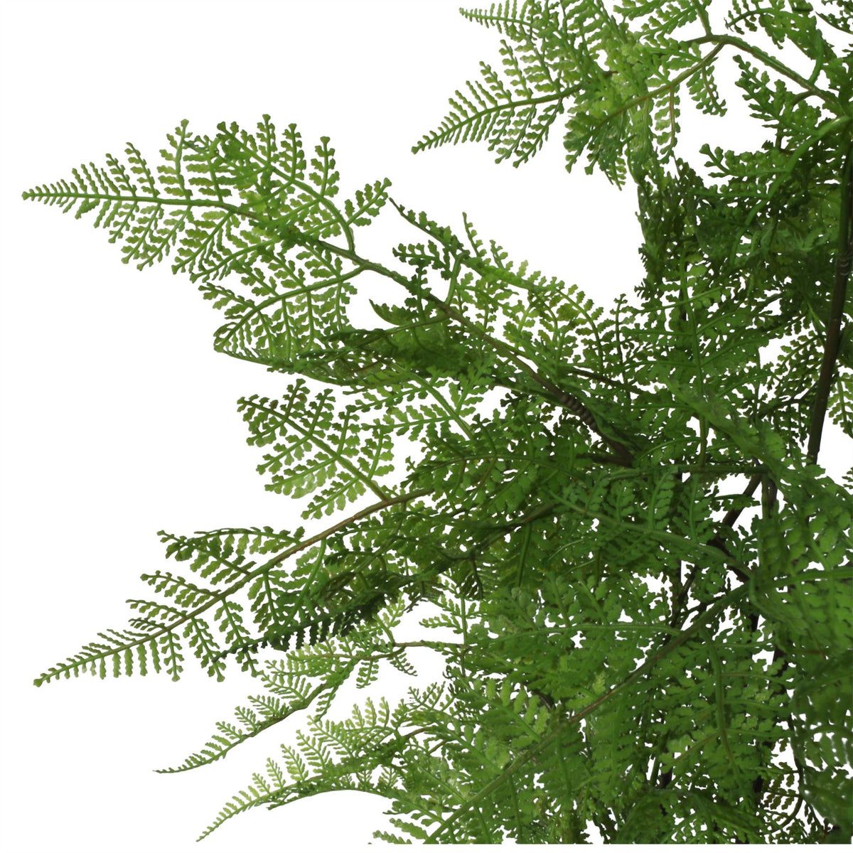 90cm Large Artificial Fern Plant – Realistic Natural Moss Base