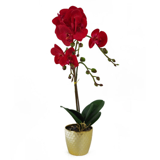 50cm Small Red Leopard Artificial Orchid in Gold Pot - Faux Phalaenopsis Orchid Plant