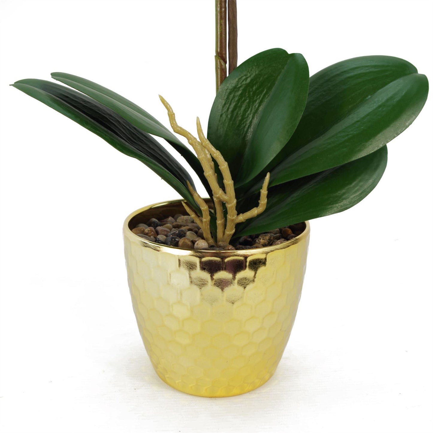 50cm Small Red Leopard Artificial Orchid in Gold Pot - Faux Phalaenopsis Orchid Plant