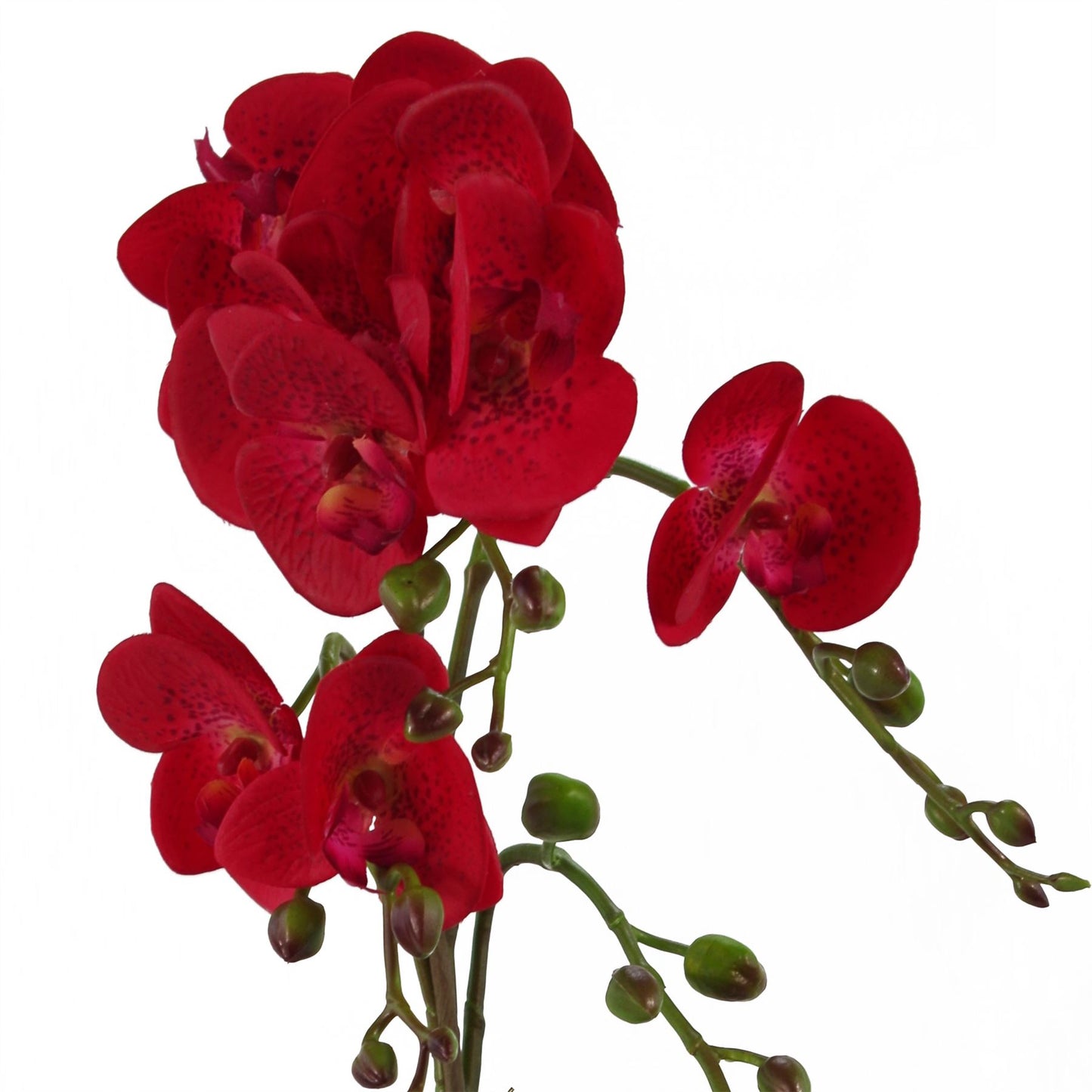 50cm Small Red Leopard Artificial Orchid in Gold Pot - Faux Phalaenopsis Orchid Plant