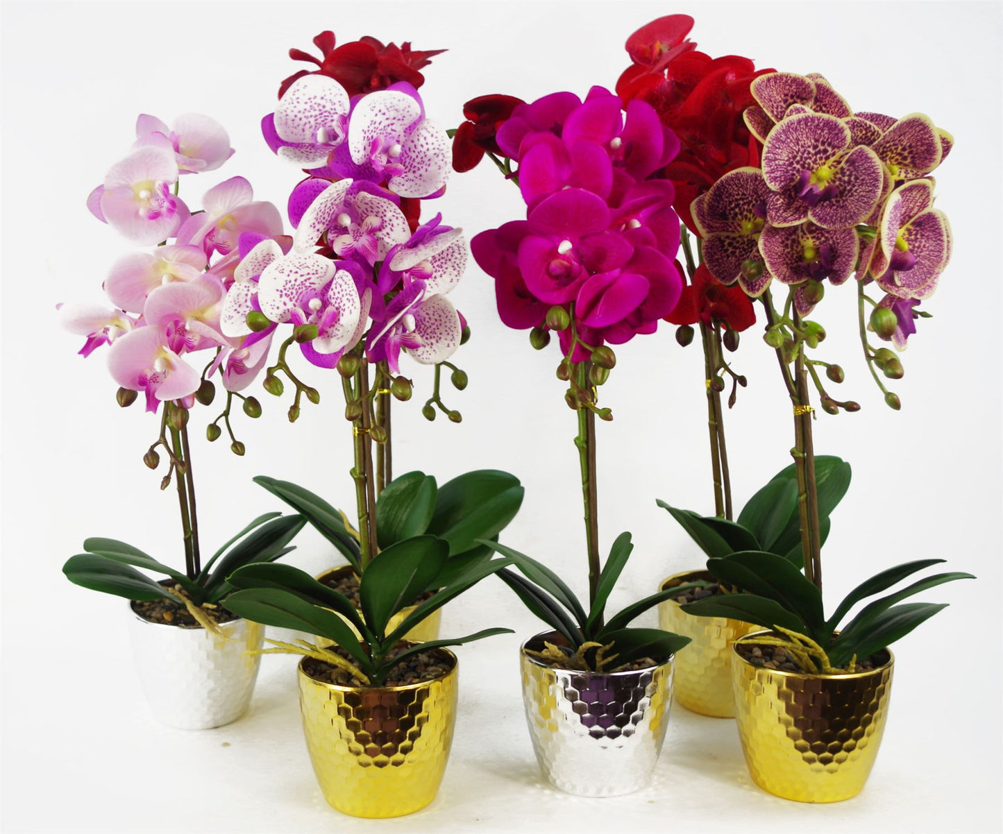 50cm Small Red Leopard Artificial Orchid in Gold Pot - Faux Phalaenopsis Orchid Plant