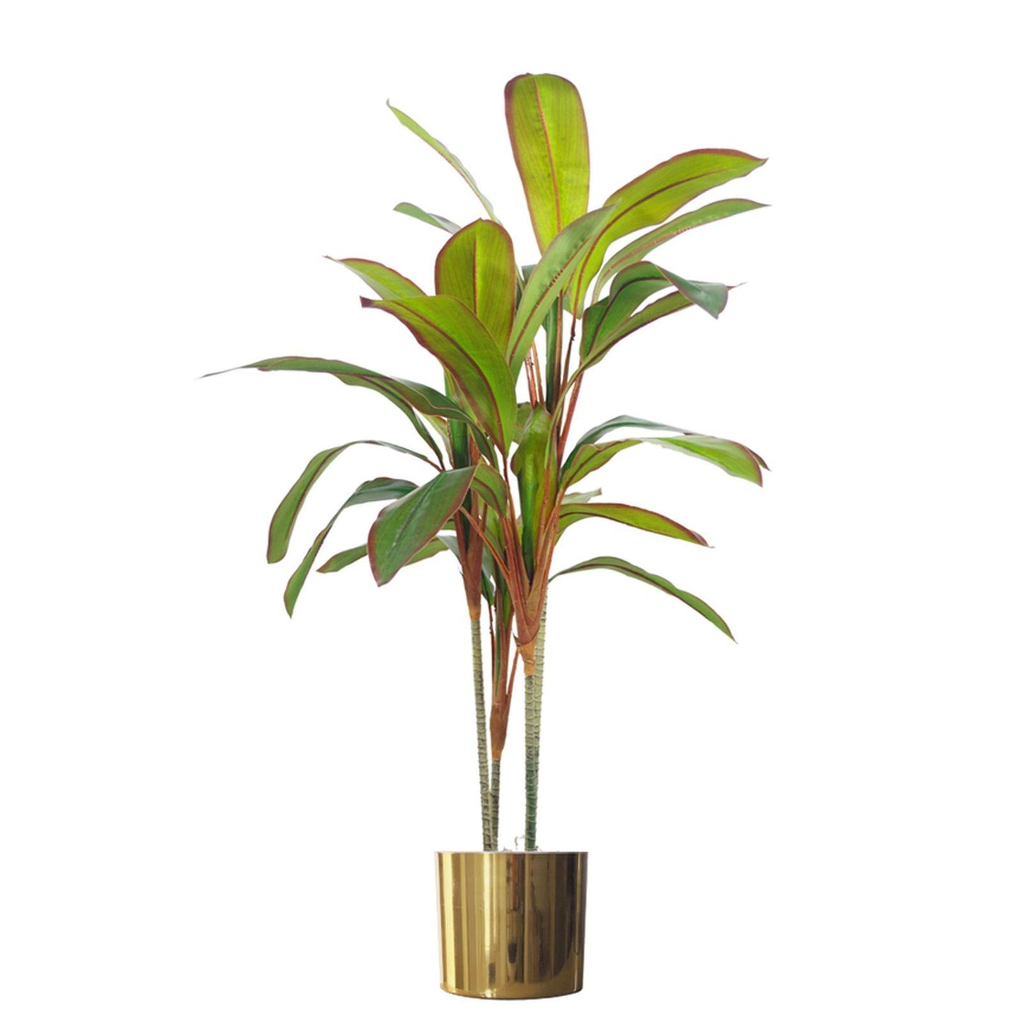 100cm Large Artificial Dracaena Tropical Plant with Gold Planter - Realistic Indoor Plant