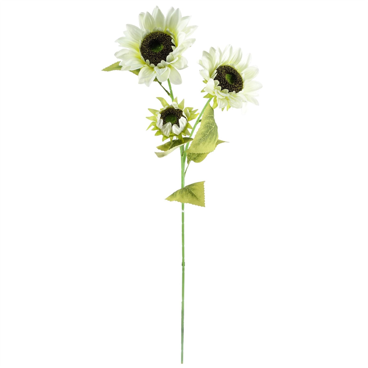 80cm Medium Artificial White and Yellow Sunflower Flower Arrangement in Ridged Glass Vase