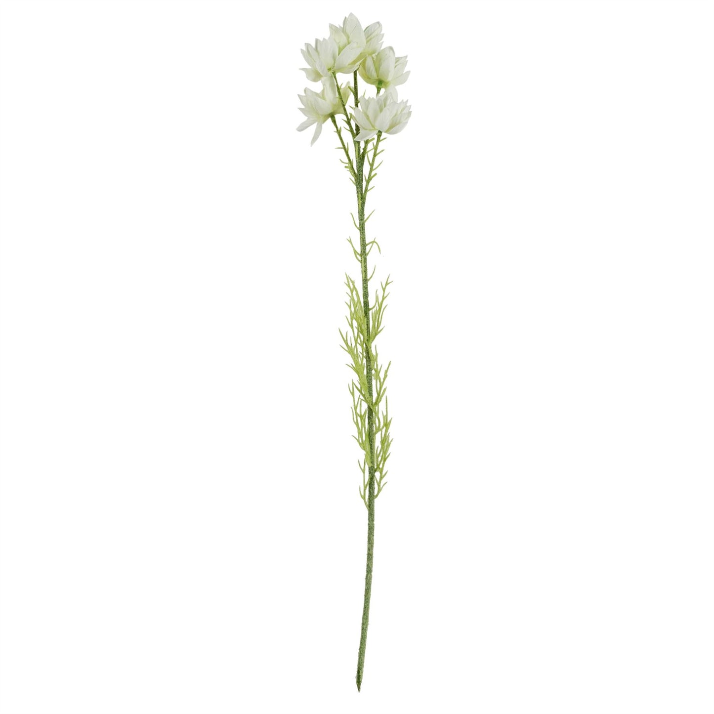 75cm Medium Artificial White Starflower Flower Arrangement in Ombre Glass Vase