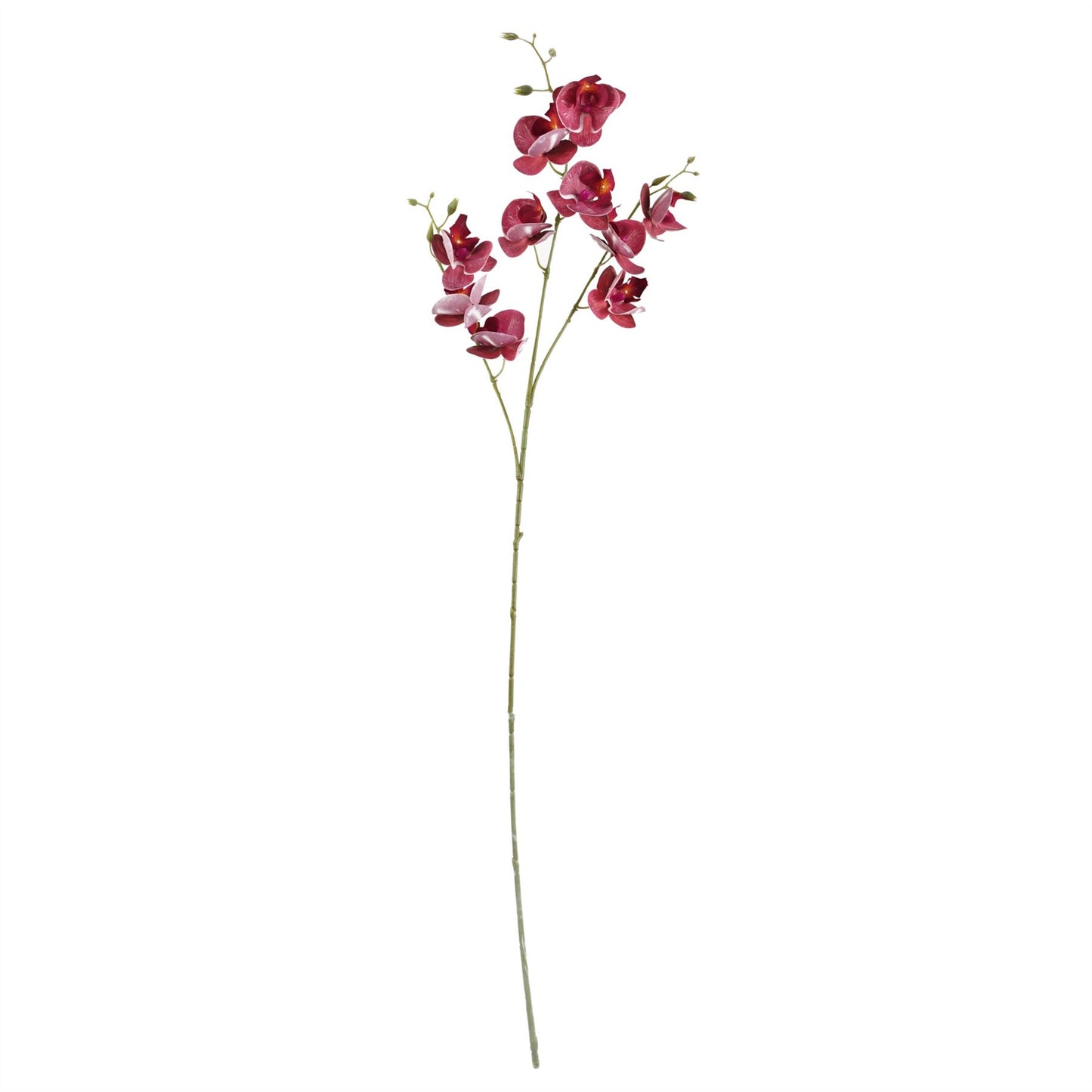 65cm Medium Artificial Wild Orchid & Fern Flower Arrangement in Clear Ridged Glass Vase
