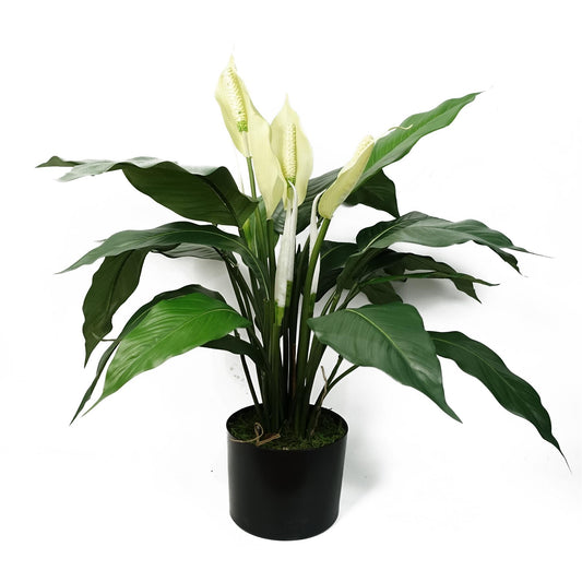 60cm Medium Artificial Peace Lily White Spathiphyllum – Realistic Faux Potted Lily Plant