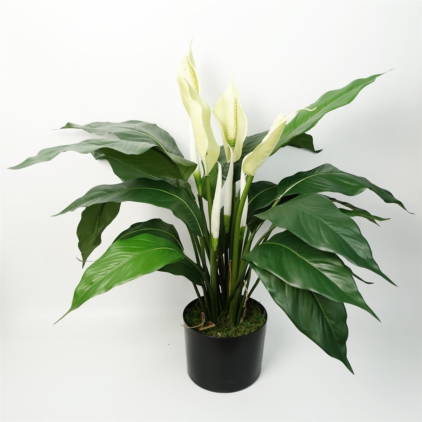 60cm Medium Artificial Peace Lily White Spathiphyllum – Realistic Faux Potted Lily Plant