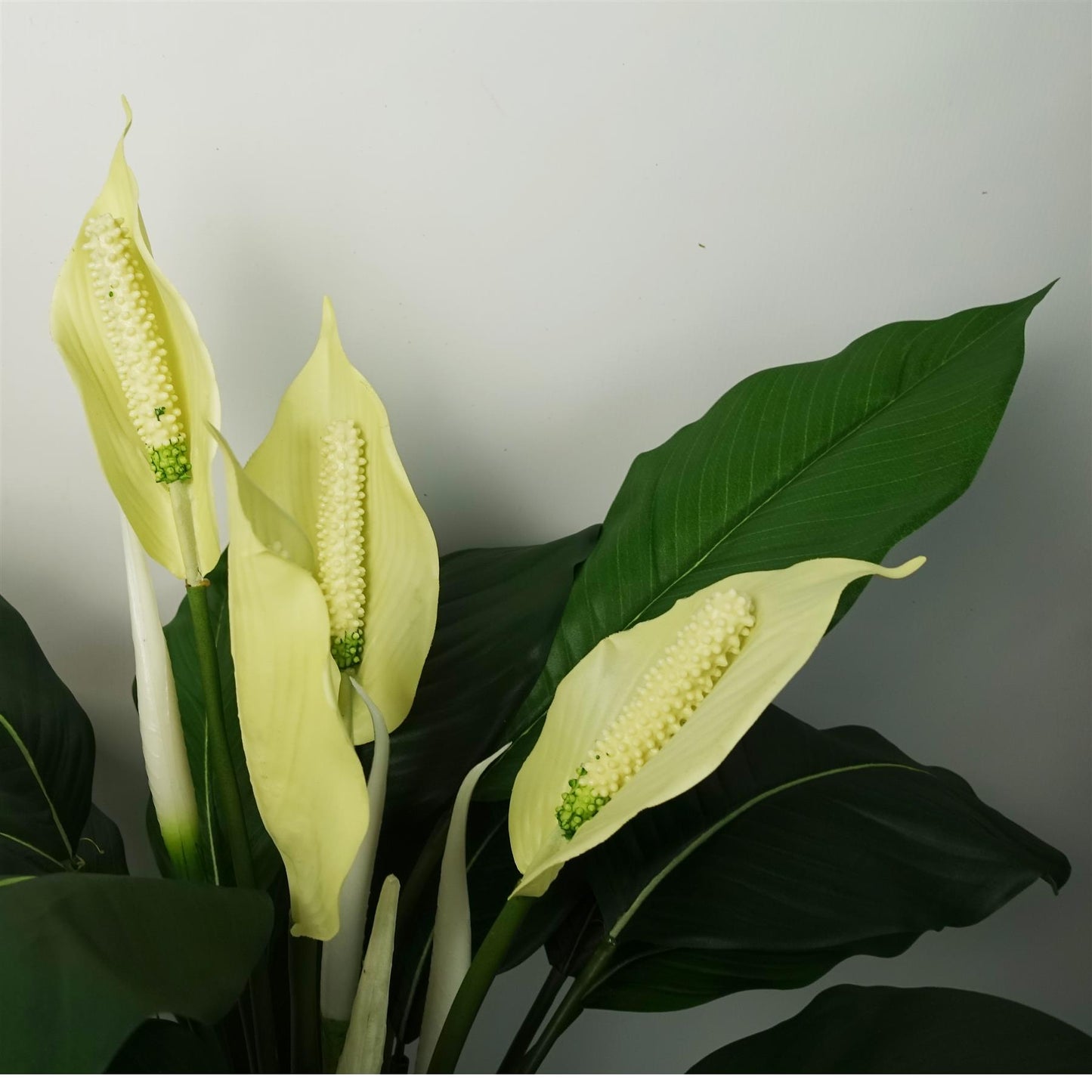 60cm Medium Artificial Peace Lily White Spathiphyllum – Realistic Faux Potted Lily Plant