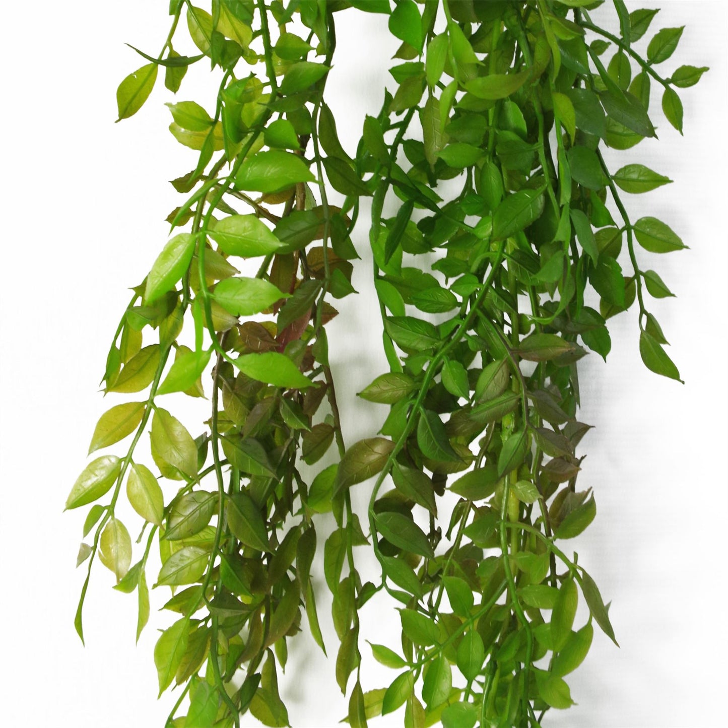 100cm Large Artificial Hanging & Trailing String of Pearls Fern – Realistic Dark Green Faux Plant