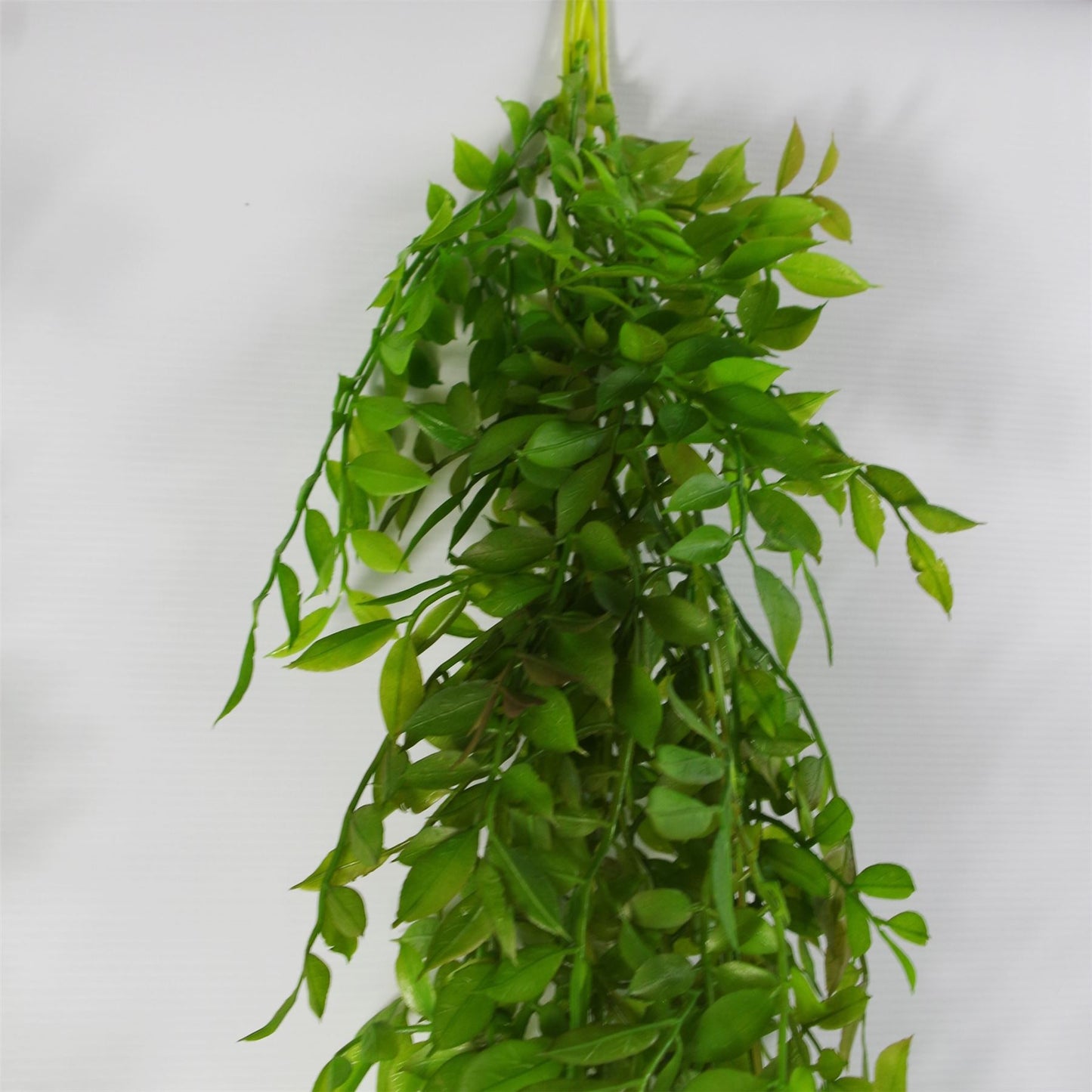 100cm Large Artificial Hanging & Trailing String of Pearls Fern – Realistic Dark Green Faux Plant