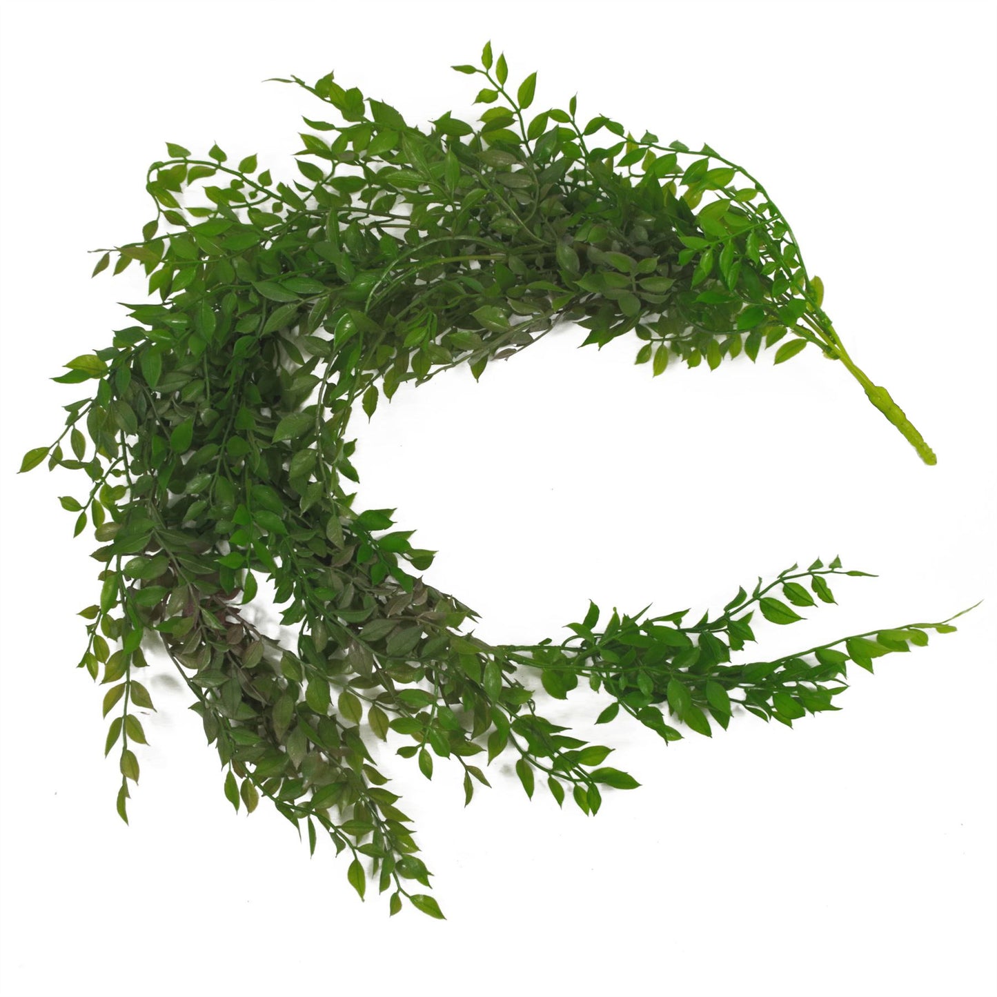 100cm Large Artificial Hanging & Trailing String of Pearls Fern – Realistic Dark Green Faux Plant