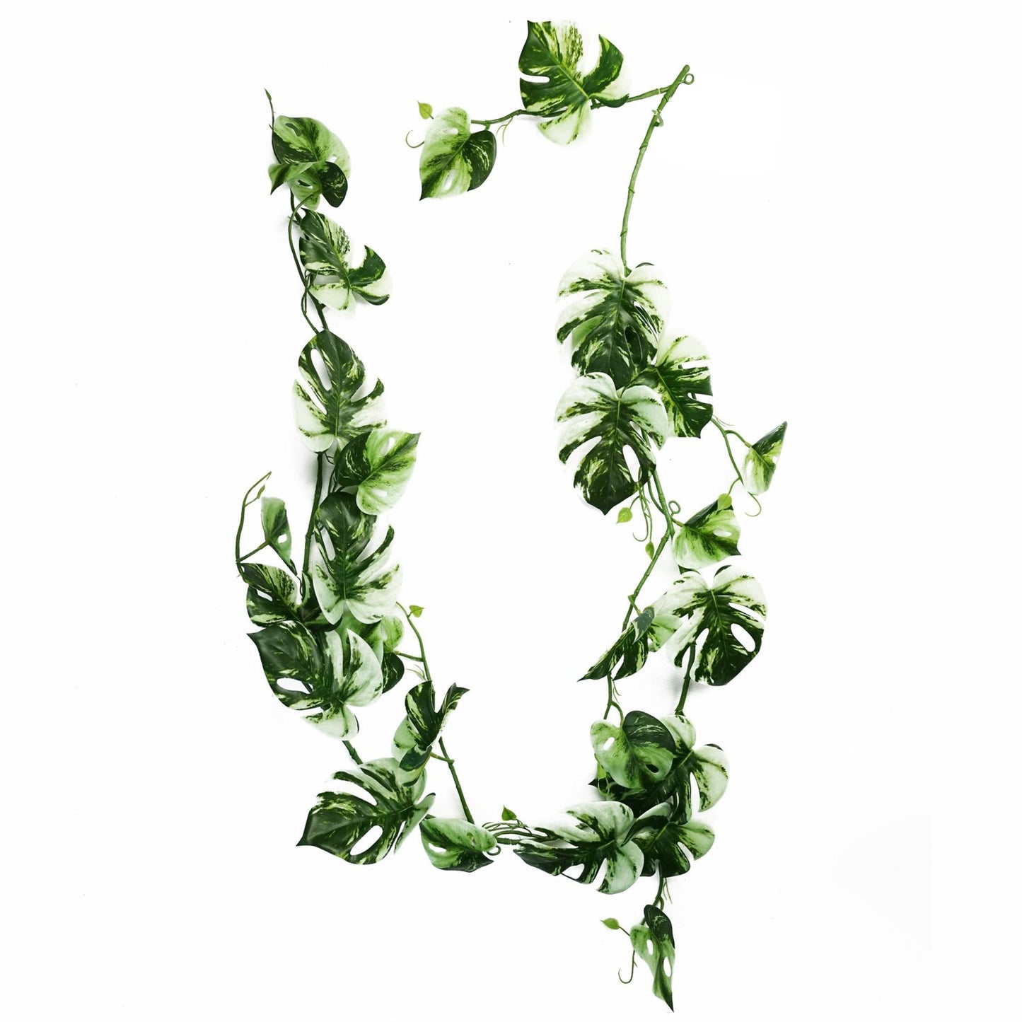 180cm Extra Large Artificial Hanging & Trailing Variegated Monstera Plant – Realistic Tropical Greenery