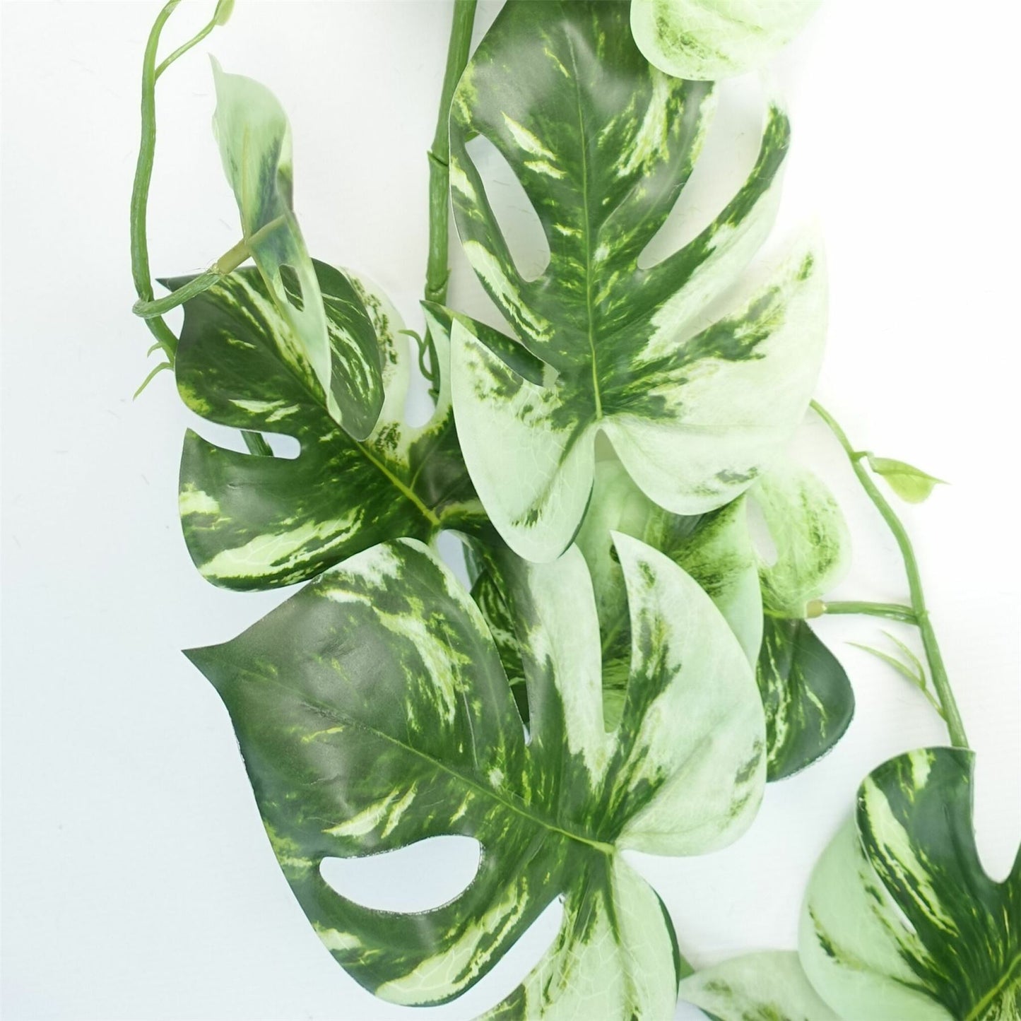 180cm Extra Large Artificial Hanging & Trailing Variegated Monstera Plant – Realistic Tropical Greenery