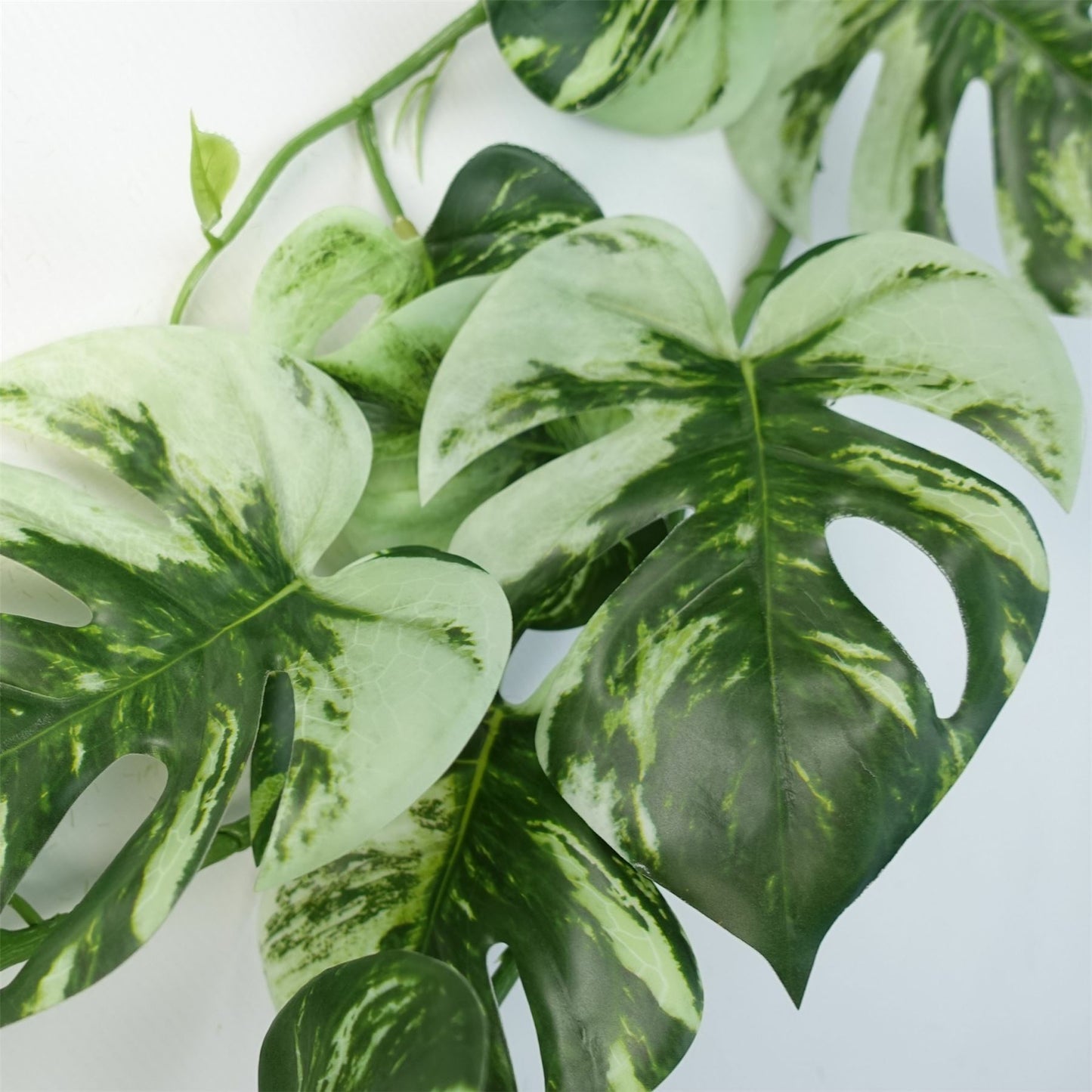 180cm Extra Large Artificial Hanging & Trailing Variegated Monstera Plant – Realistic Tropical Greenery