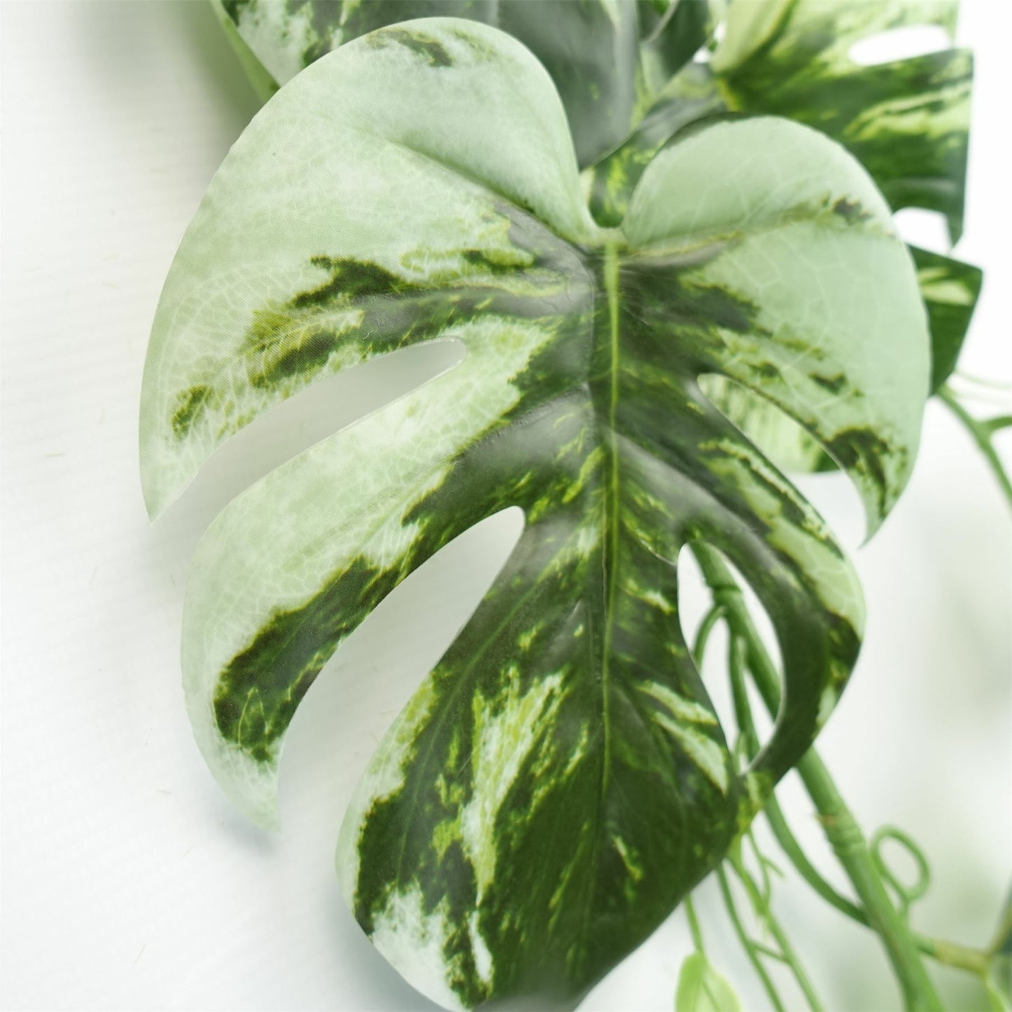 180cm Extra Large Artificial Hanging & Trailing Variegated Monstera Plant – Realistic Tropical Greenery