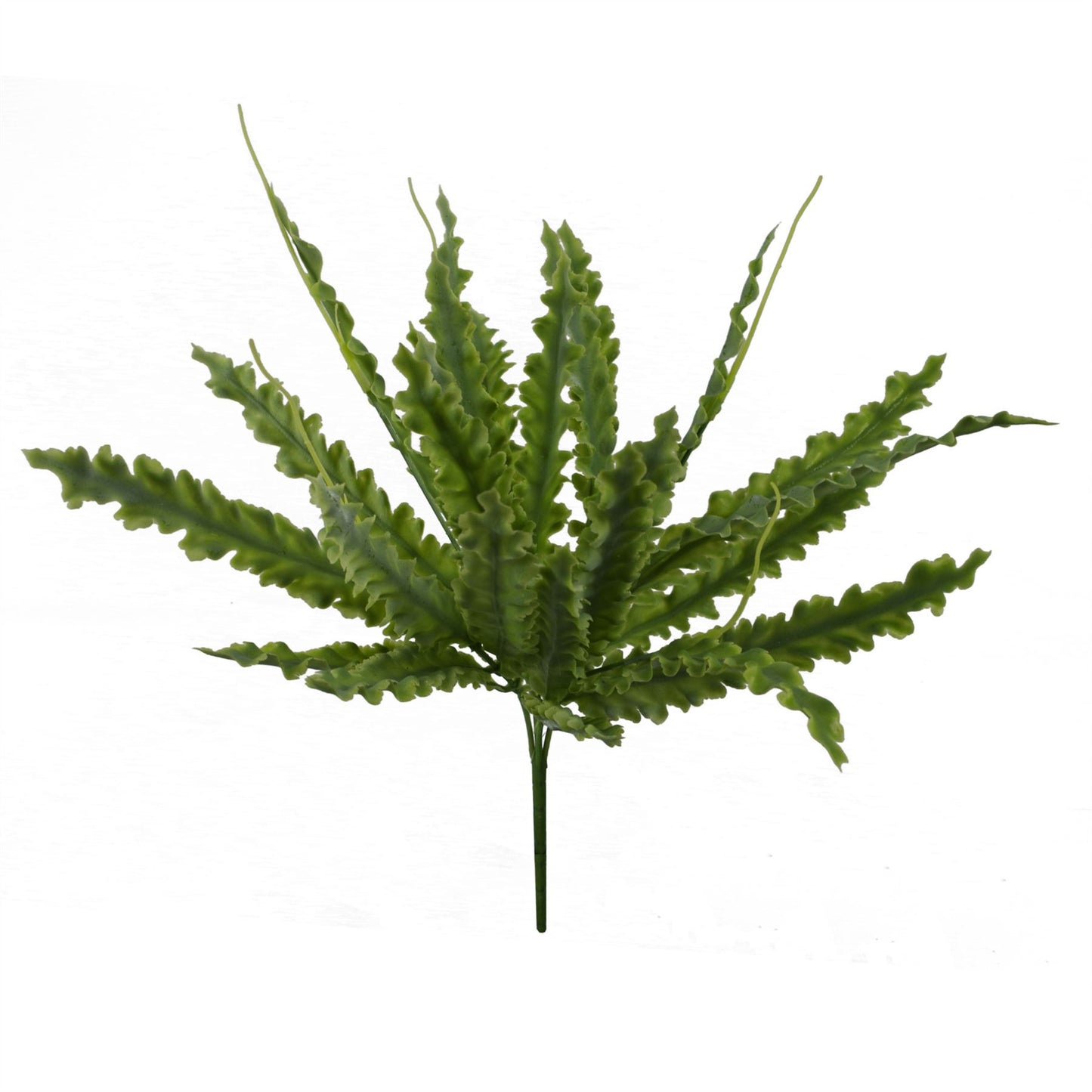 12 x 40cm Small Artificial Crocodile Fern - Bare Stem Plant Sets