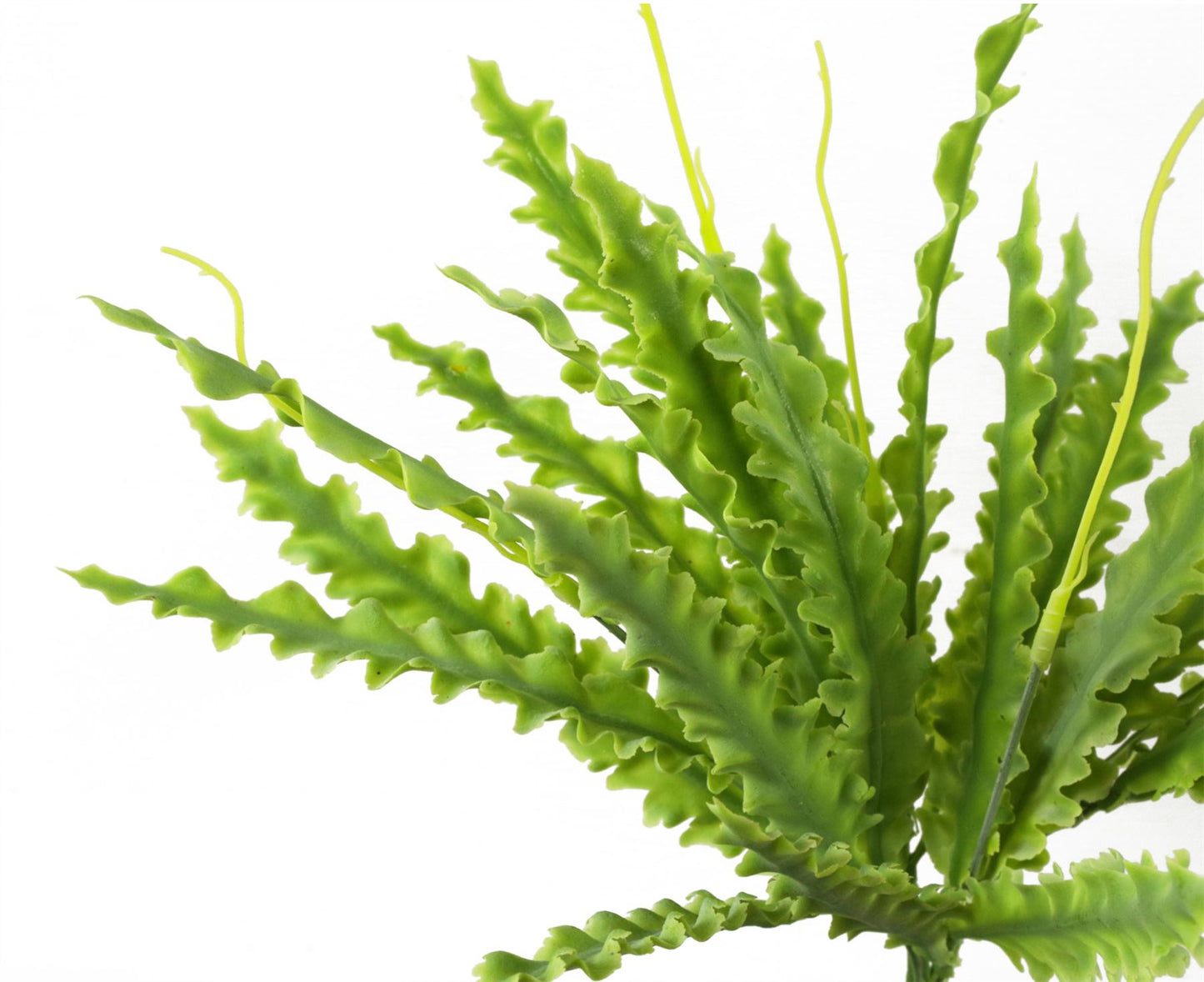 12 x 40cm Small Artificial Crocodile Fern - Bare Stem Plant Sets