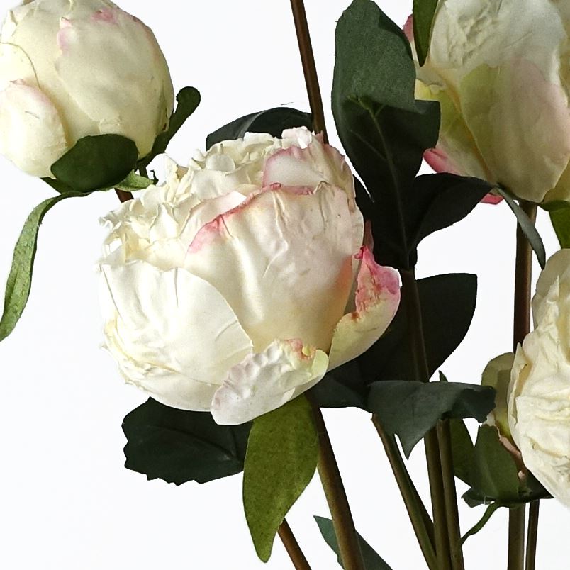 6 x 55cm Small Premium Artificial Cream Peony Stems – Realistic Faux Peony Set with 24 Flowers & 18 Buds