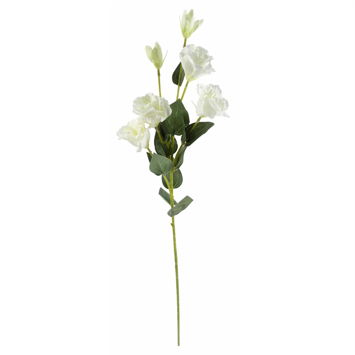 6 x 80cm Medium White Artificial Wild Rose Stems – Realistic Faux Roses with 36 Flowers