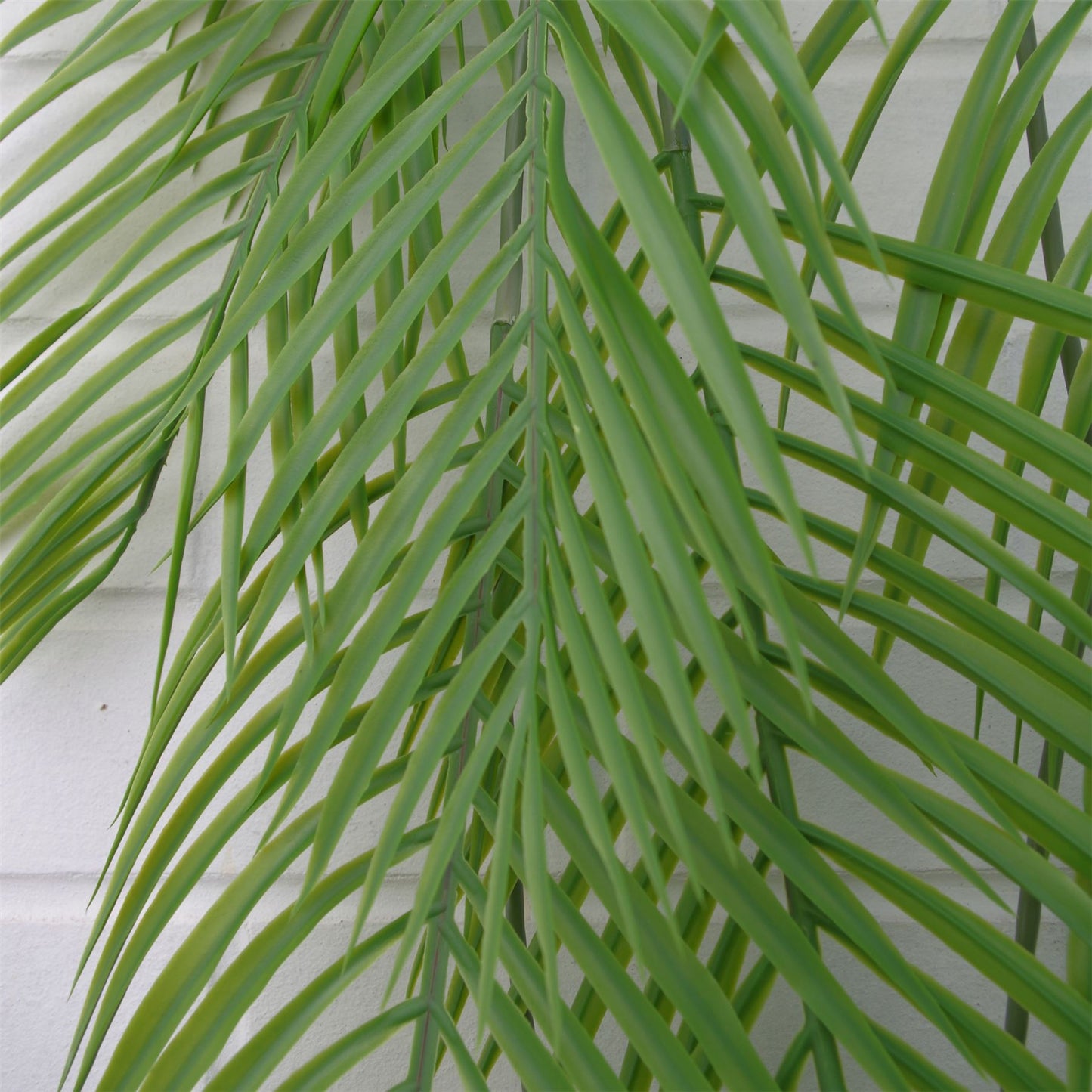 12 x 120cm Large Artificial Hanging Palm Plants – Tropical Trailing Design