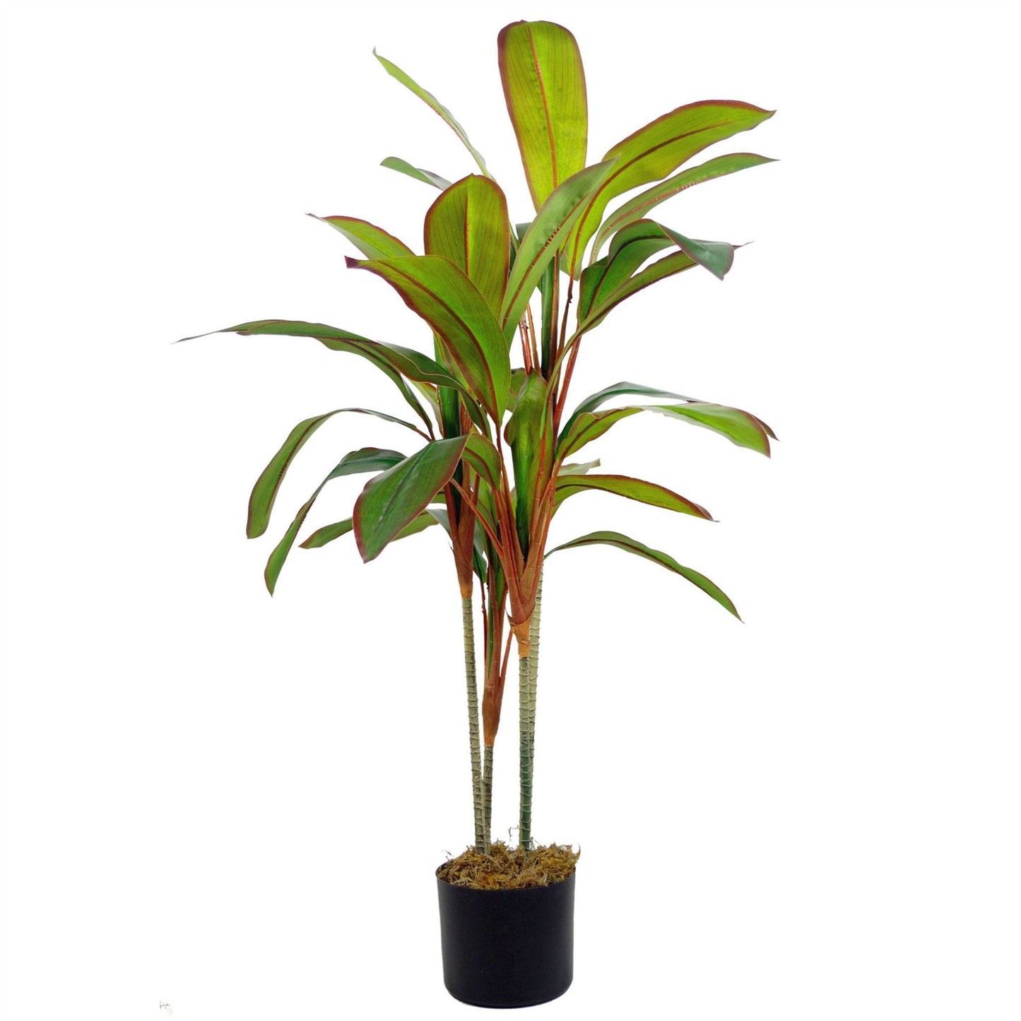 100cm Large Artificial Dracaena Tropical Plant - Realistic Indoor Plant