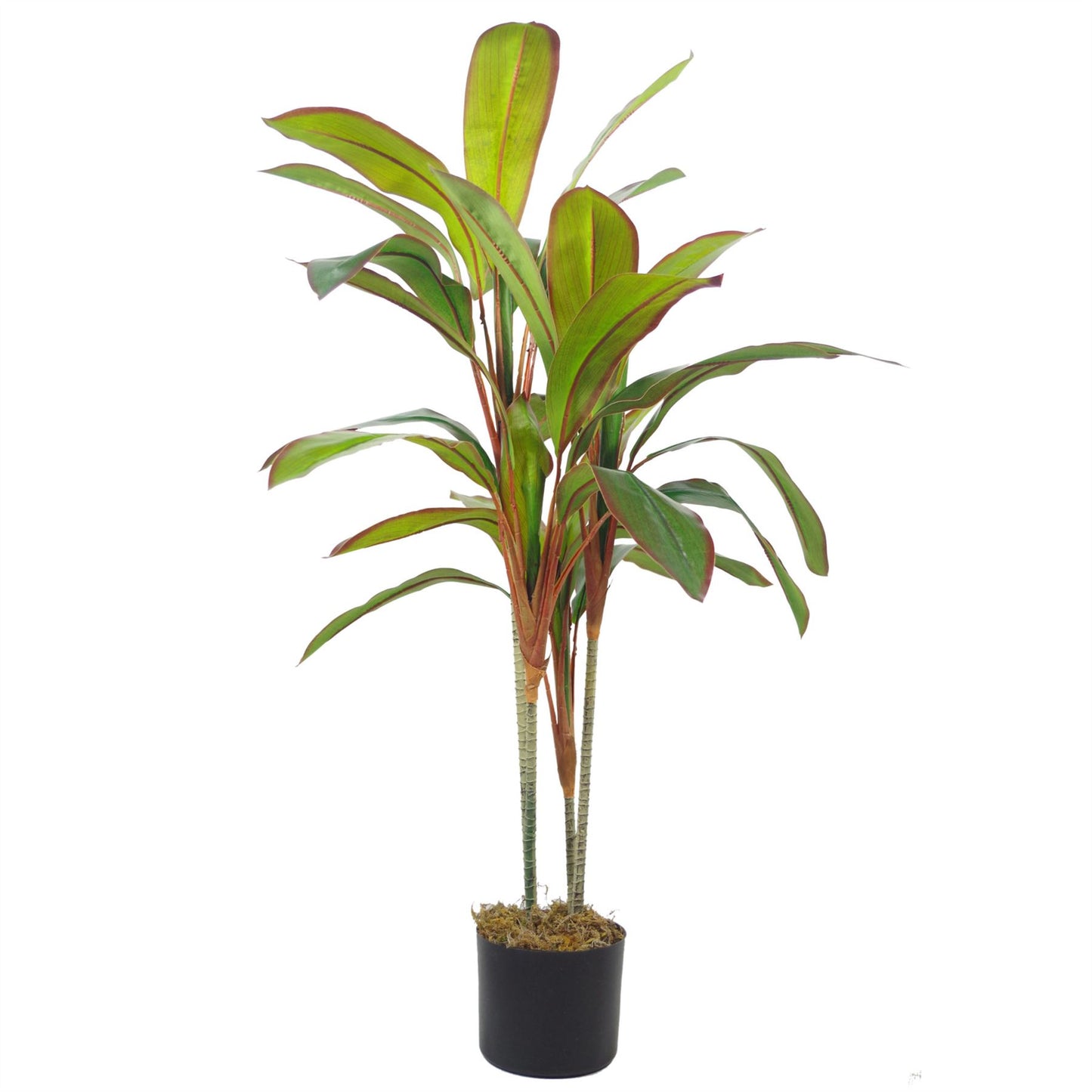 100cm Large Artificial Dracaena Tropical Plant - Realistic Indoor Plant