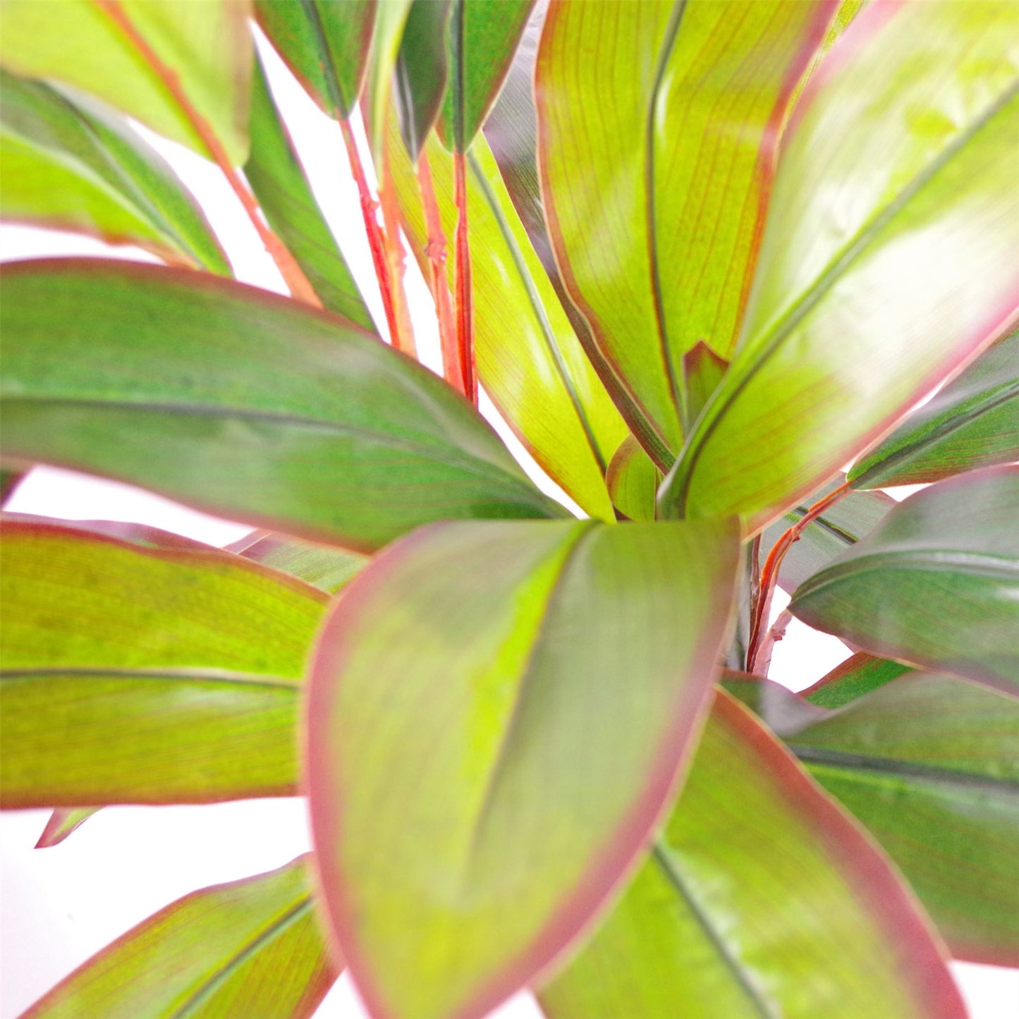100cm Large Artificial Dracaena Tropical Plant - Realistic Indoor Plant