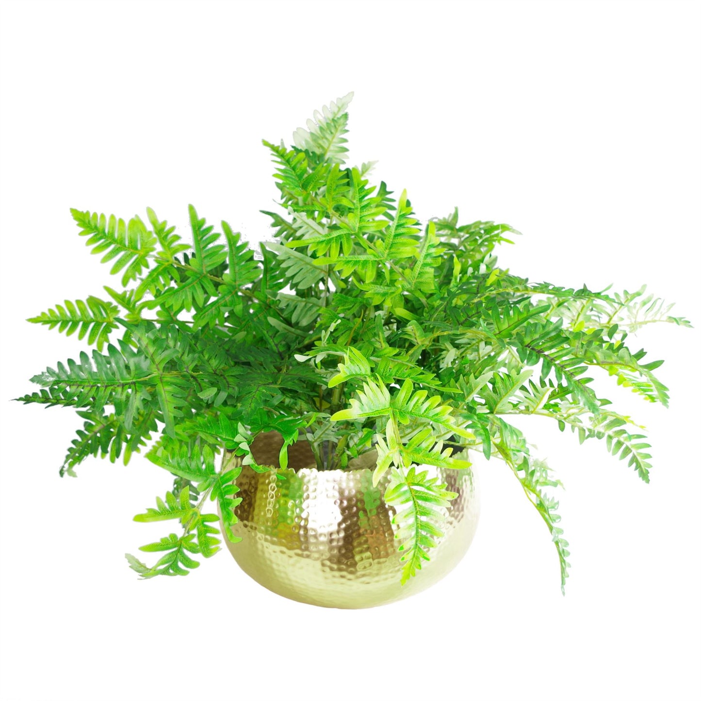32cm x 20cm Large Hammered Gold Bowl Planter – Curved-Edge Gold Plant Pot