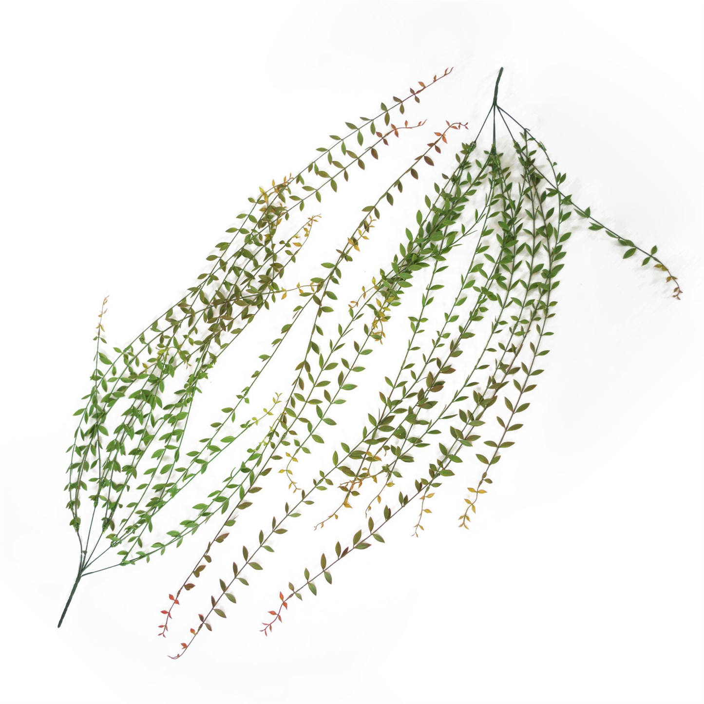 120cm Large Artificial Hanging String of Pearls – Realistic Trailing Succulent Vines