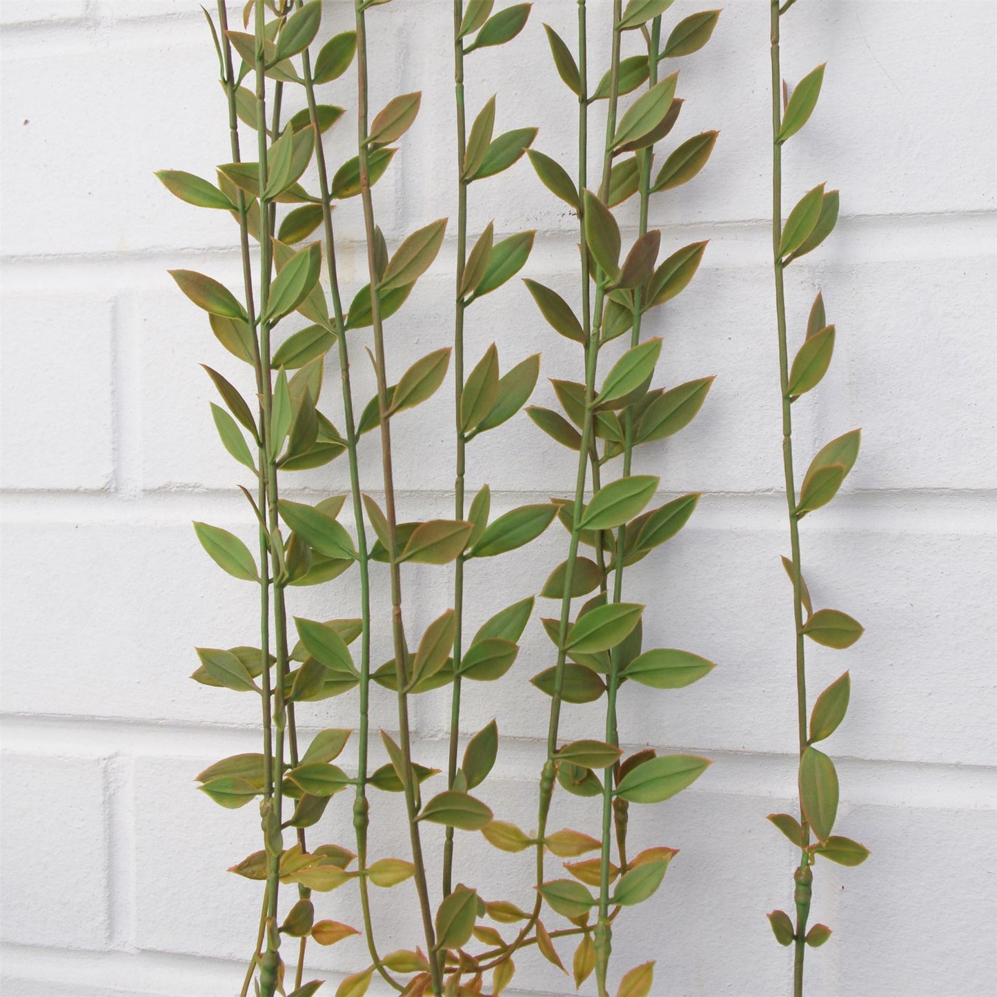 120cm Large Artificial Hanging String of Pearls – Realistic Trailing Succulent Vines