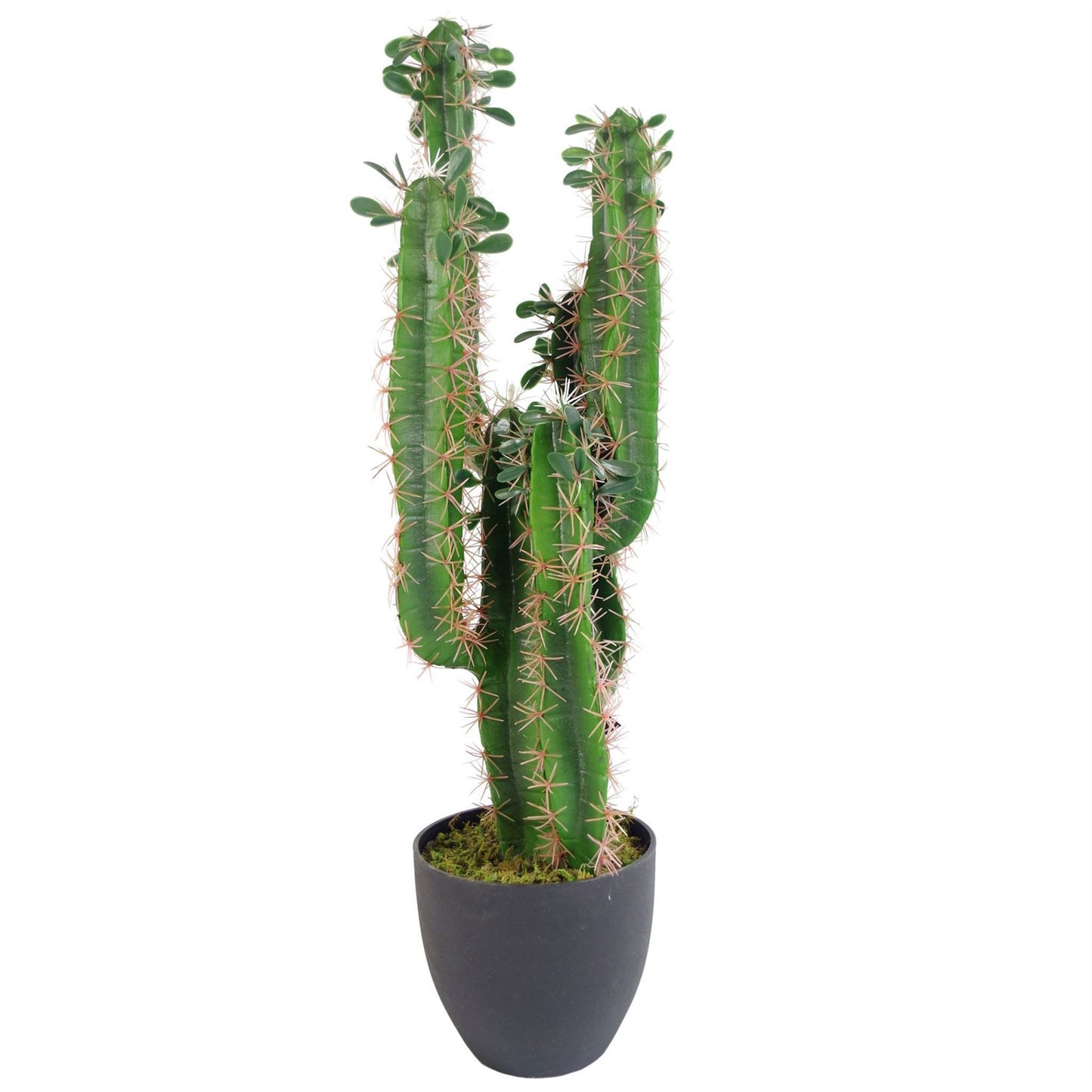75cm Medium Premium Artificial Cactus Plant in Pot – Realistic Faux Indoor Cactus