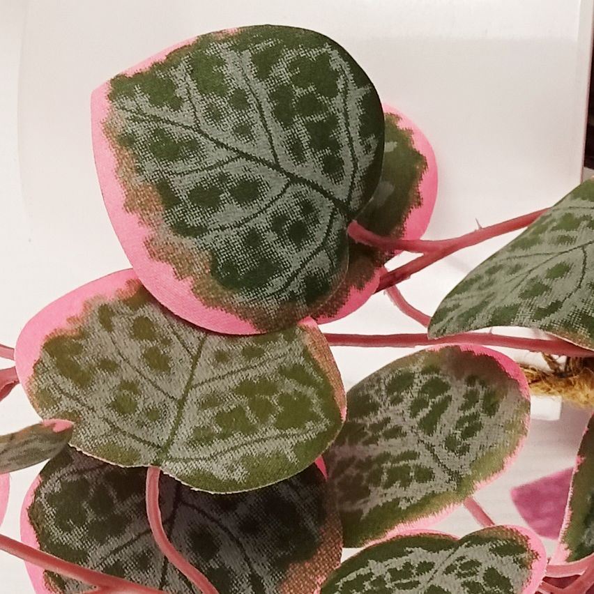 90cm Large Artificial Hanging String of Hearts Plant – Realistic Pink & Green Trailing Plant in Decorative Pot