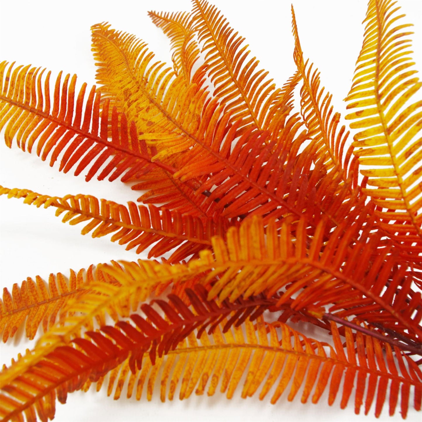 6 x 55cm Small Artificial Autumn Fern Bush Plants – Orange Faux Fern Set