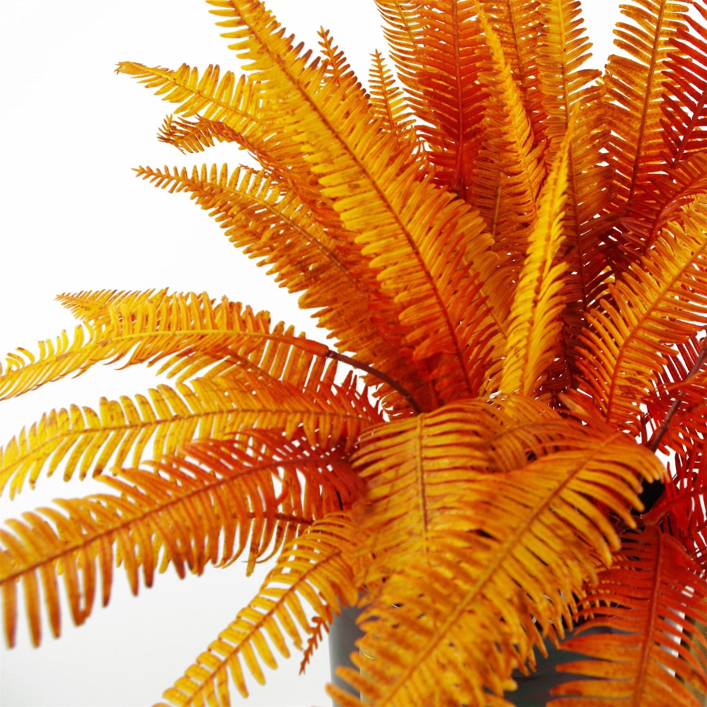 6 x 55cm Small Artificial Autumn Fern Bush Plants – Orange Faux Fern Set