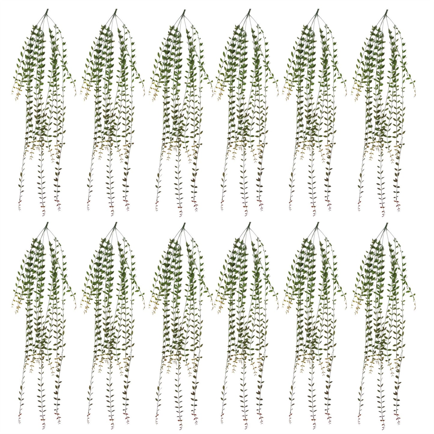 12 x 120cm Large Artificial Hanging String of Pearls – Extra Long Trailing Vine Set