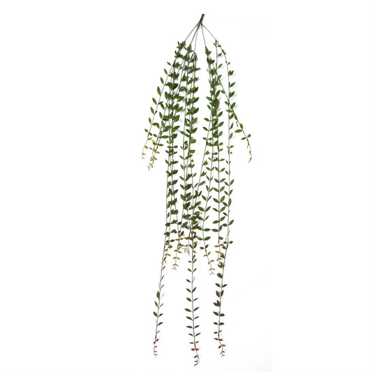 120cm Large Artificial Hanging String of Pearls – Realistic Trailing Succulent Vines