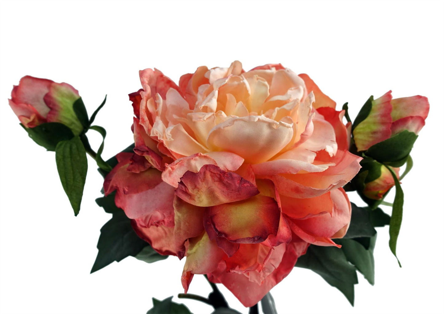 60cm Medium Premium Artificial Pink Peony Stem – Realistic Faux Peony Flower with 1 Bloom & 3 Buds