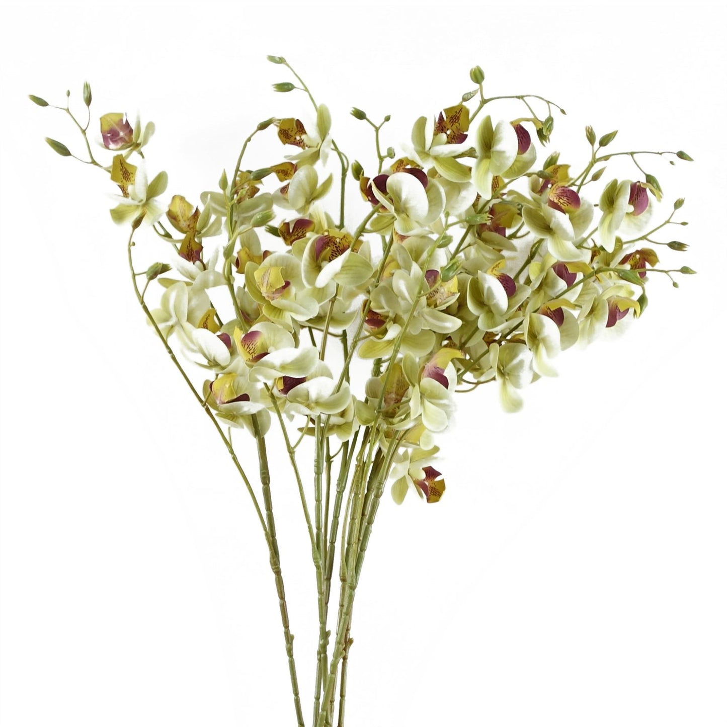 6 x 80cm Artificial Cream Mini Orchid Flowers – Faux Orchid Stems