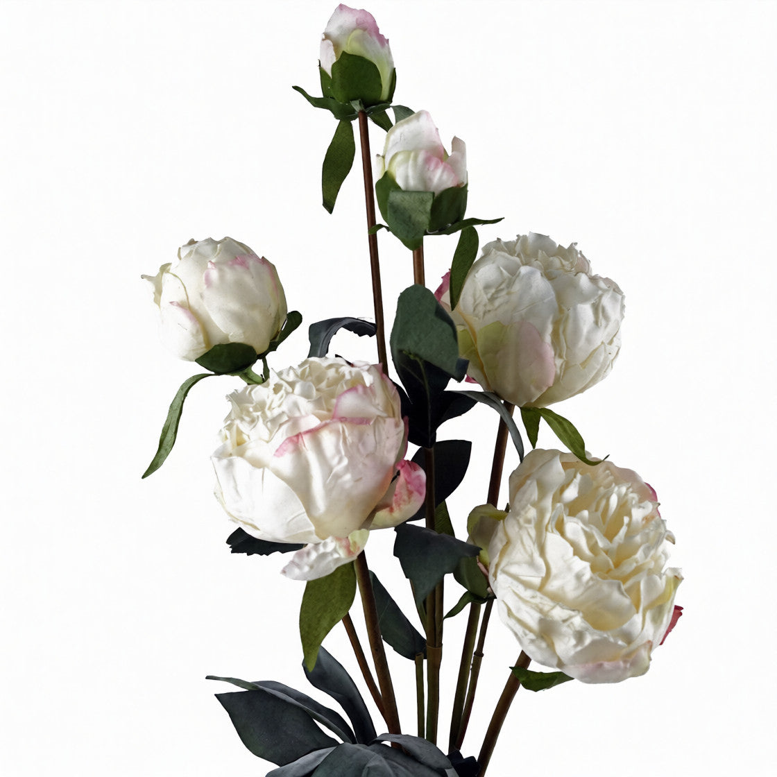 55cm Small Premium Artificial Cream Peony Spray – Realistic Faux Peony with 4 Flowers & 3 Buds