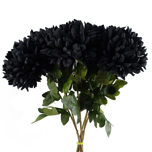 6 x 75cm Medium Artificial Black Chrysanthemum Stems – Realistic Reflex Flower Set
