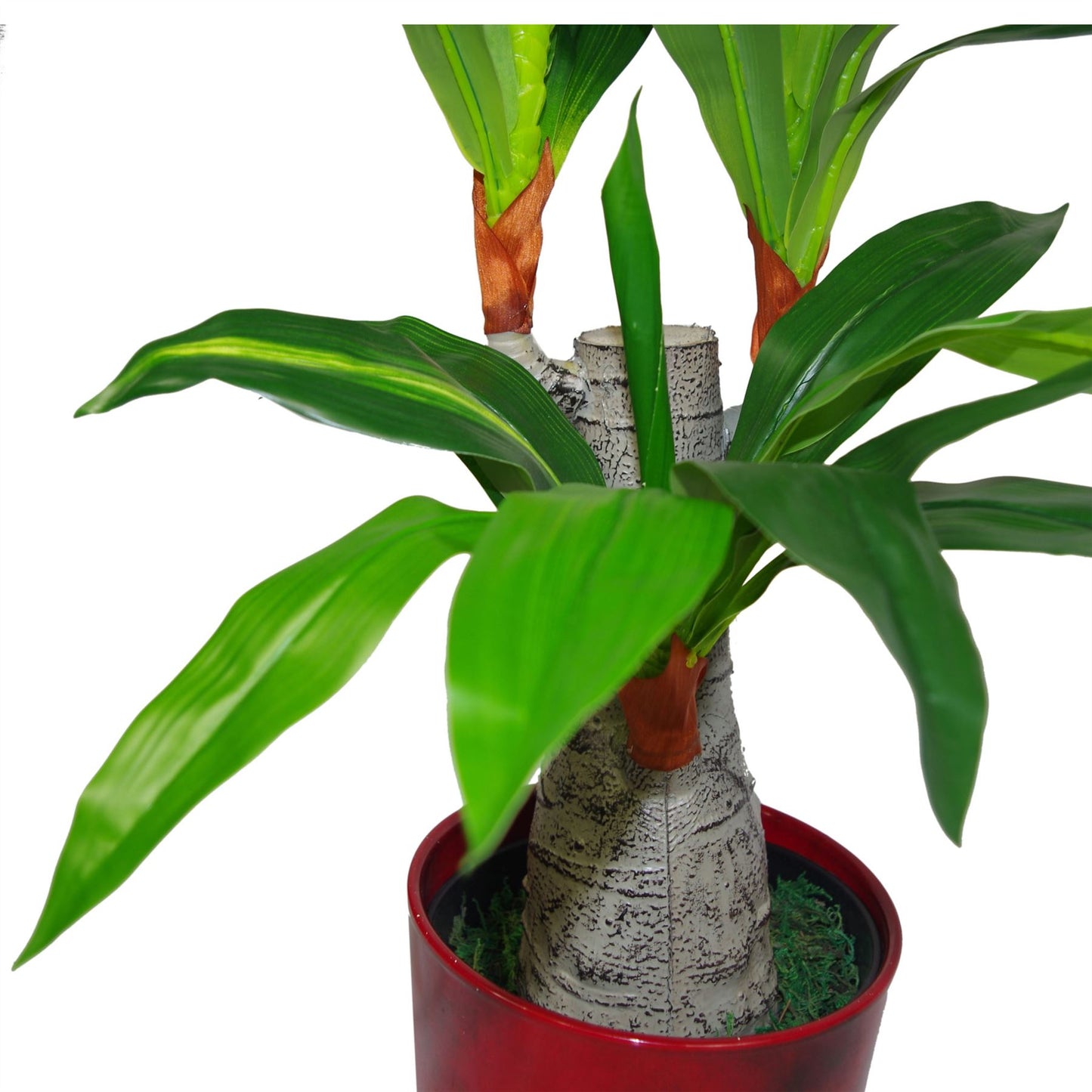 75cm Medium Artificial Triple Branch Dracaena Plant with Wide Trunk