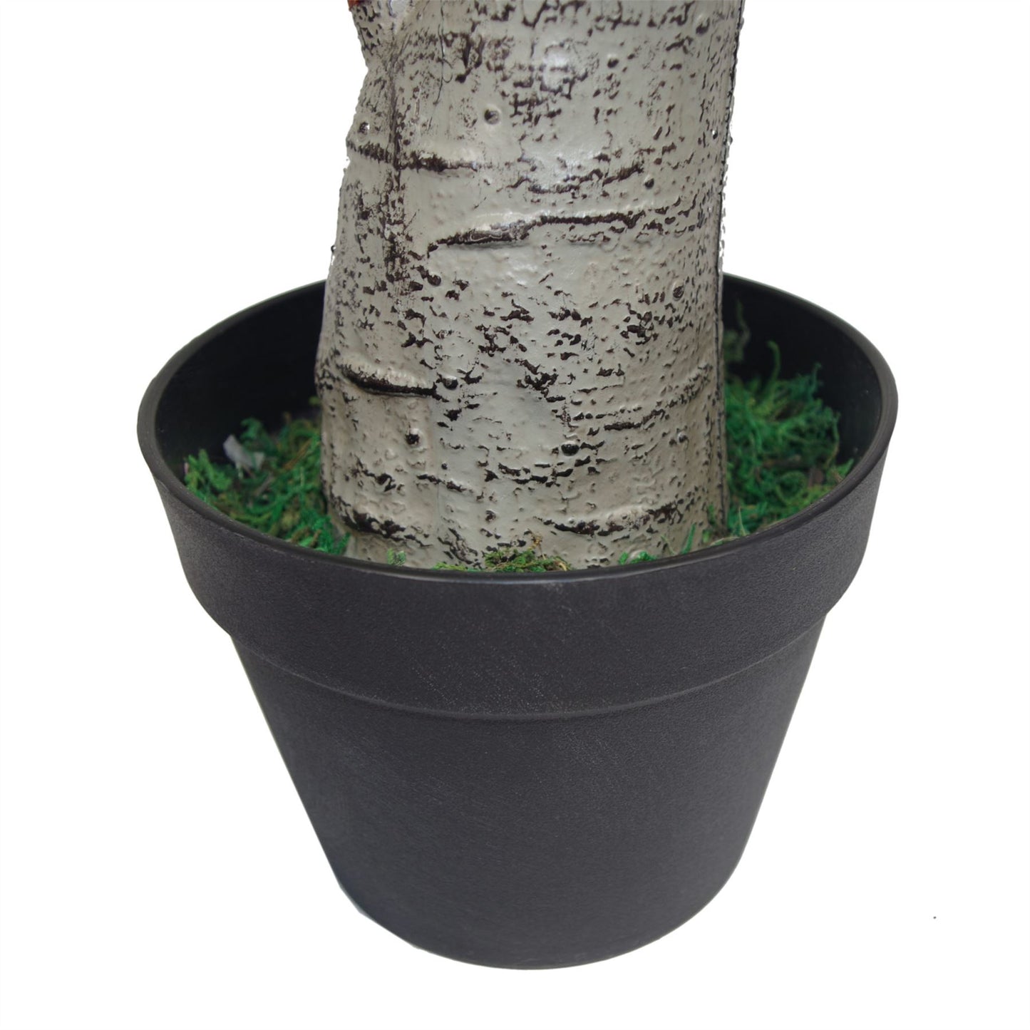 75cm Medium Artificial Triple Branch Dracaena Plant with Wide Trunk
