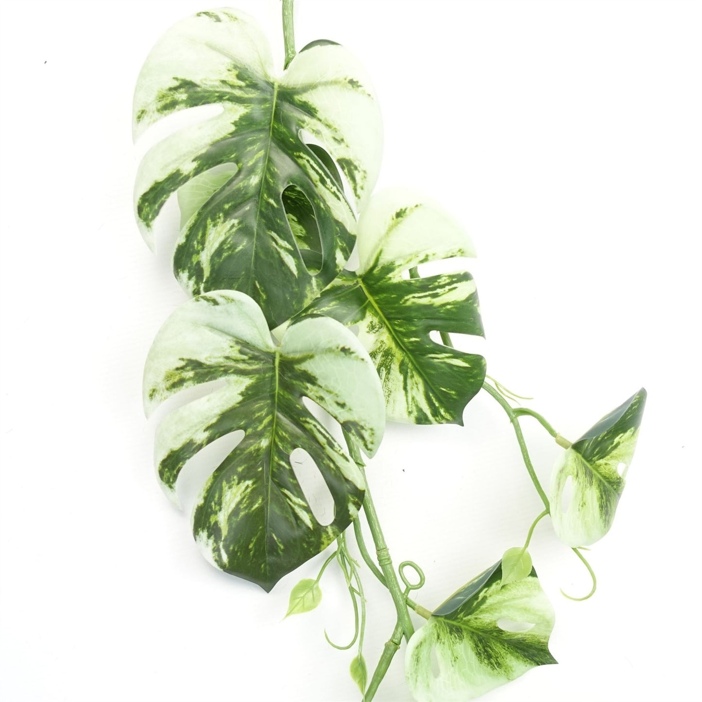 6 x 180cm Extra Large Artificial Hanging & Trailing Variegated Monstera Plant – Realistic Tropical Greenery