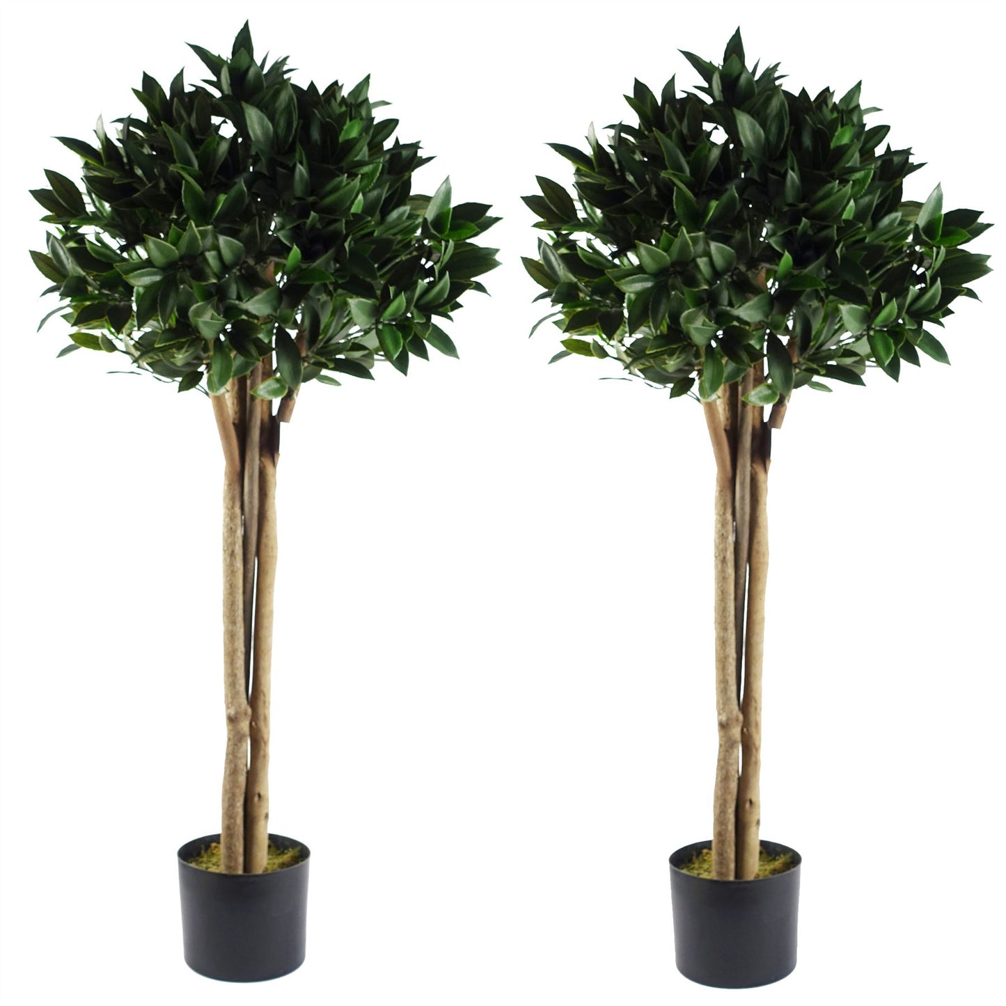 Pair of 120cm Medium Artificial Bay Trees Laurel – UV Resistant Outdoor Topiary with Real Wood Trunks